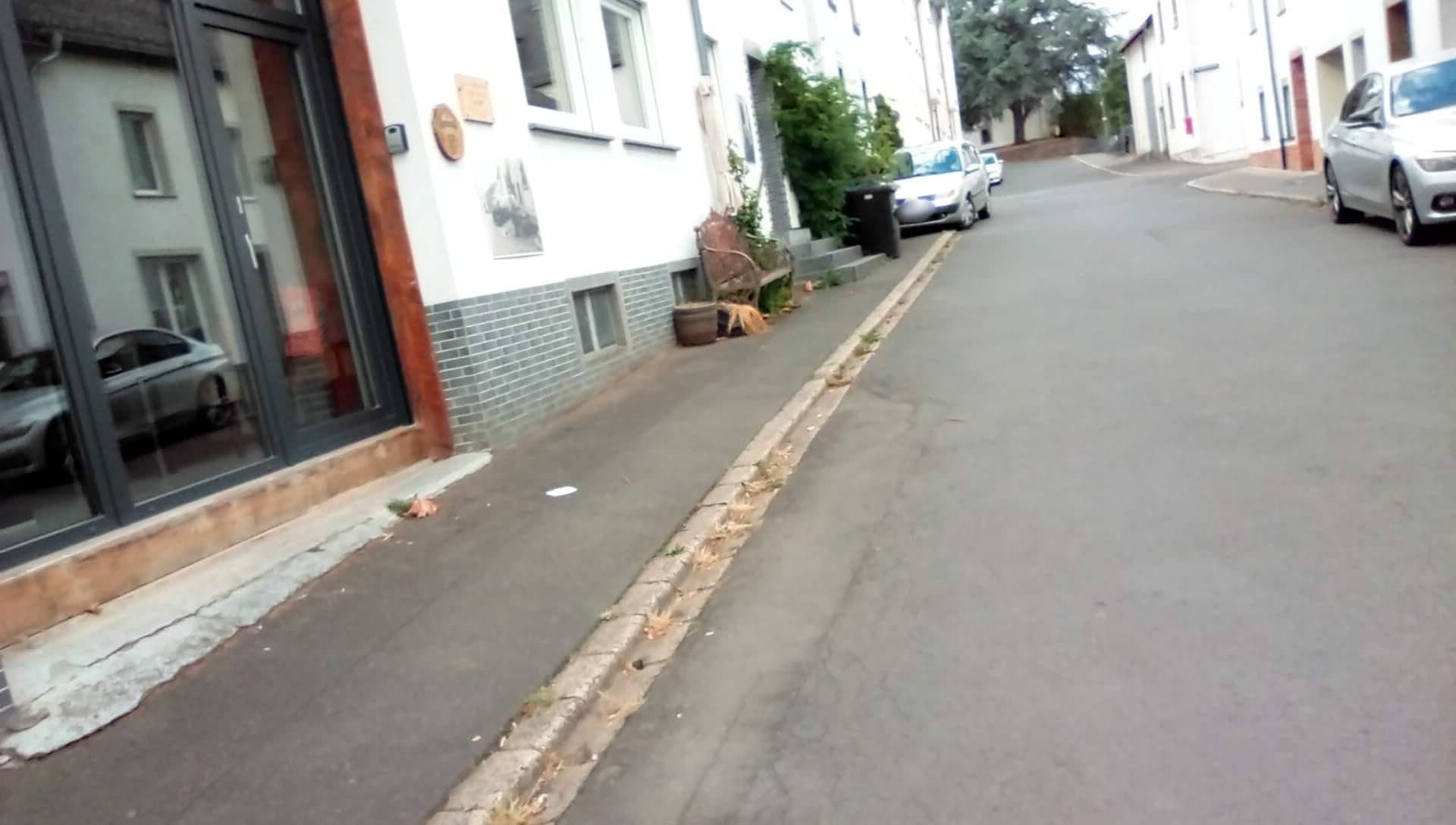 Street view near Pension am Lieserpfad, Manderscheid — © mprins (CC BY-SA · Mapillary)