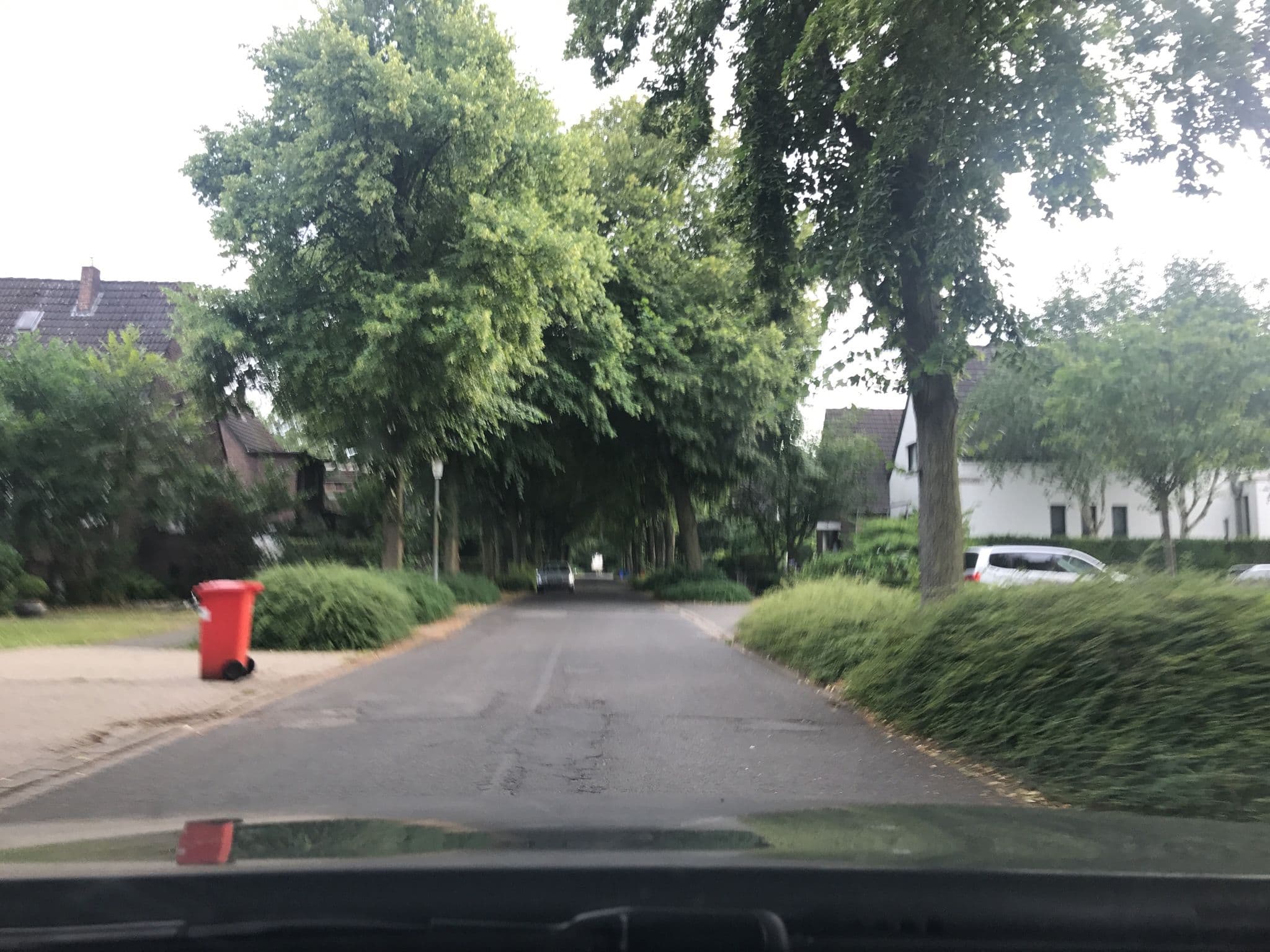 Street view near Stegmann Gästehaus, Bockum — © saschahaberkorn (CC BY-SA · Mapillary)