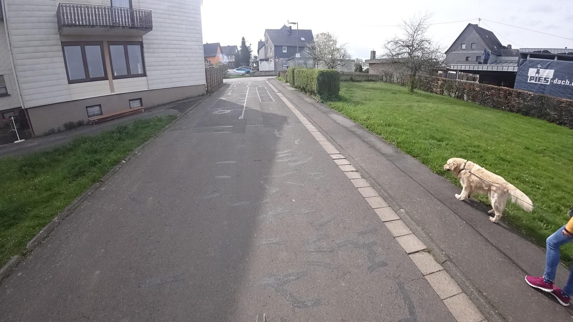 Street view near Herrlich Bürgerlich, Dommershausen — © Vosgivince (CC BY-SA · Mapillary)