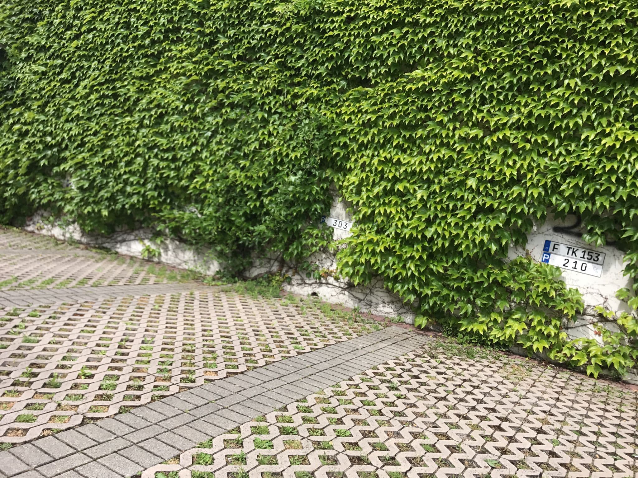 Street view near Apartment 'Rheinblick' mit grosser Terrasse, Mainz — © miguel_andrade (CC BY-SA · Mapillary)
