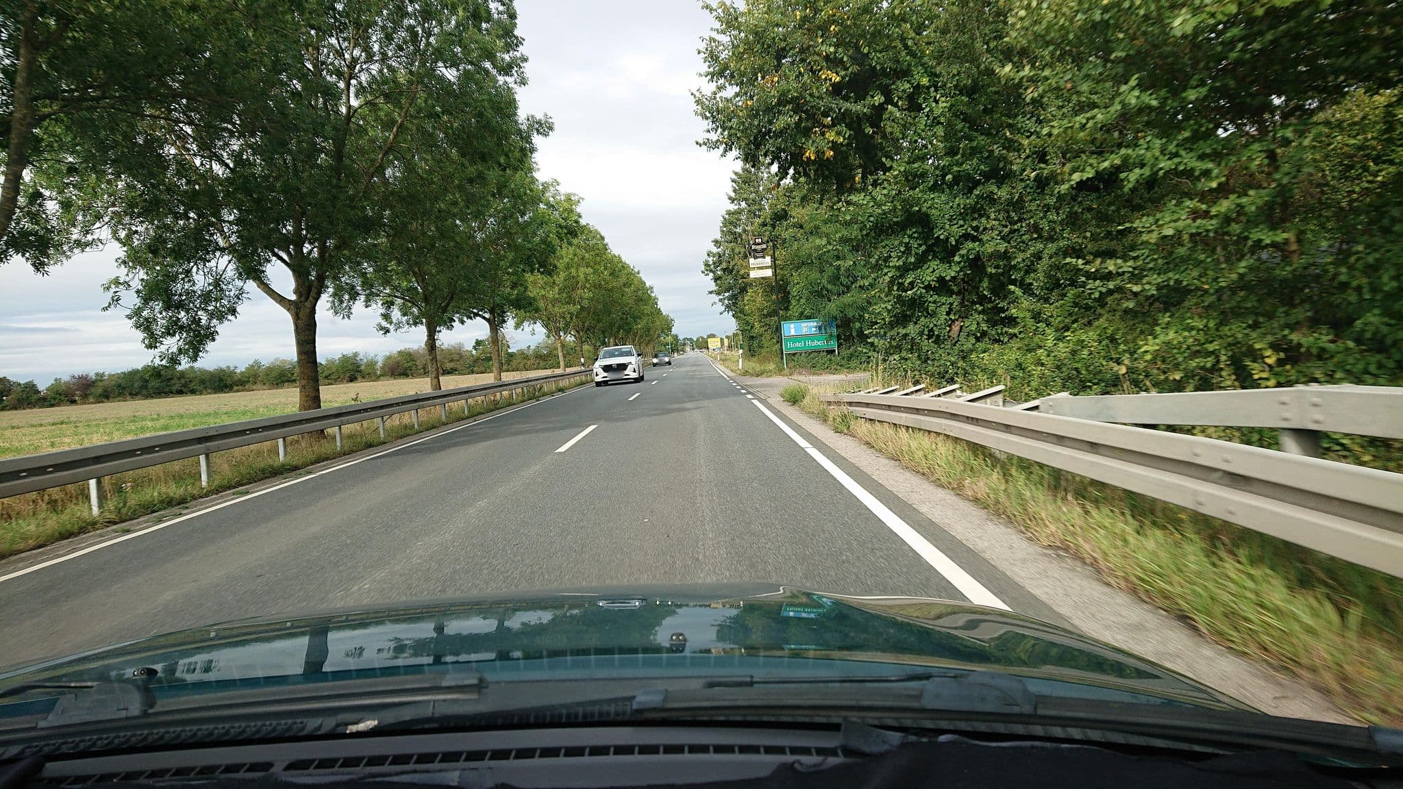 Street view near Hubertus, Gernsheim — © wegavision (CC BY-SA · Mapillary)