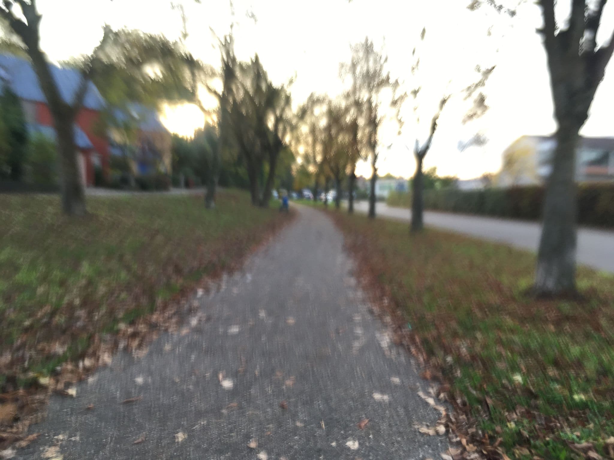 Street view near Bairischer Hof Hotels, Wiesloch — © changchun1 (CC BY-SA · Mapillary)