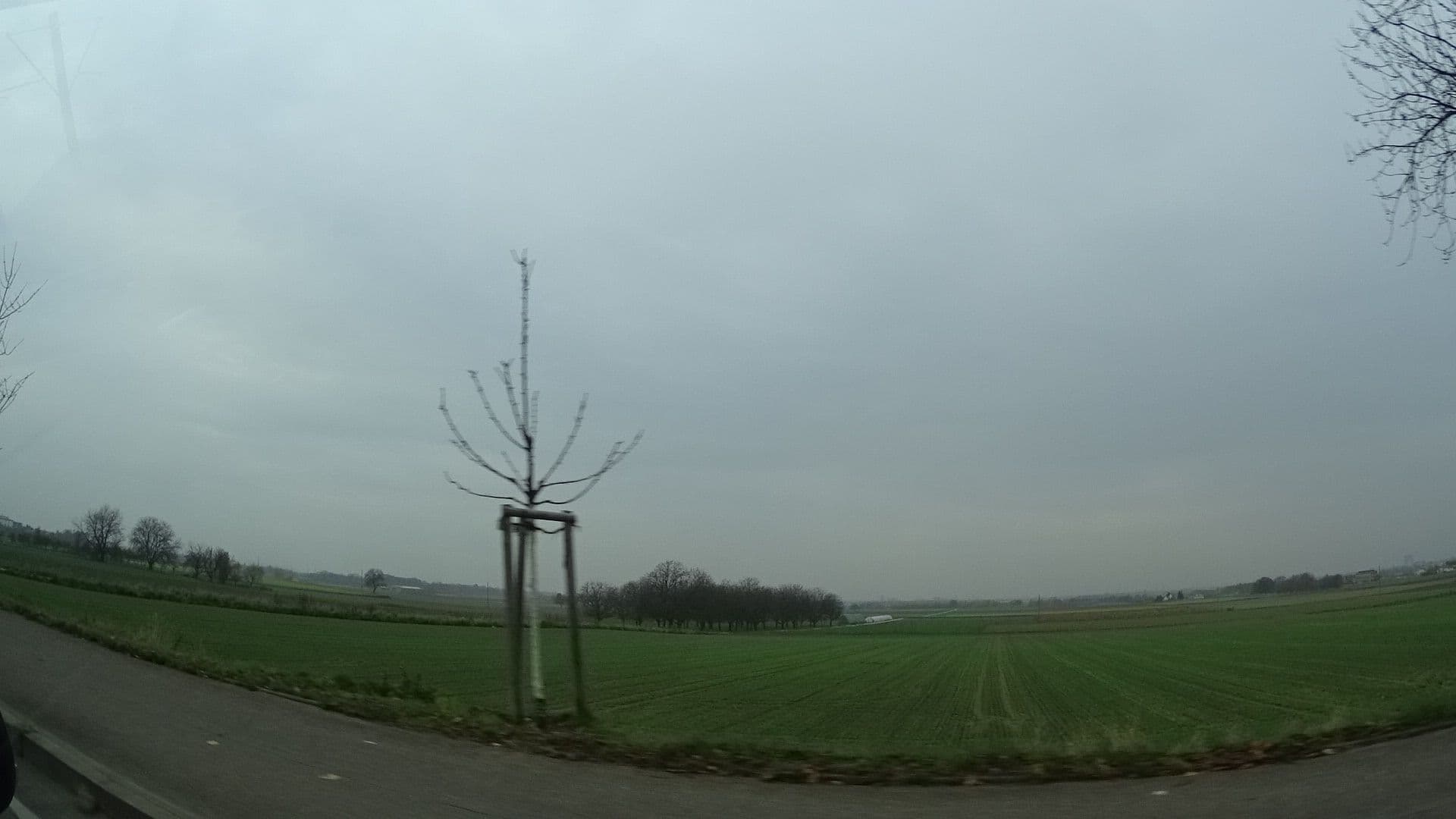 Street view near Radisson Blu, Schriesheim — © ramap (CC BY-SA · Mapillary)