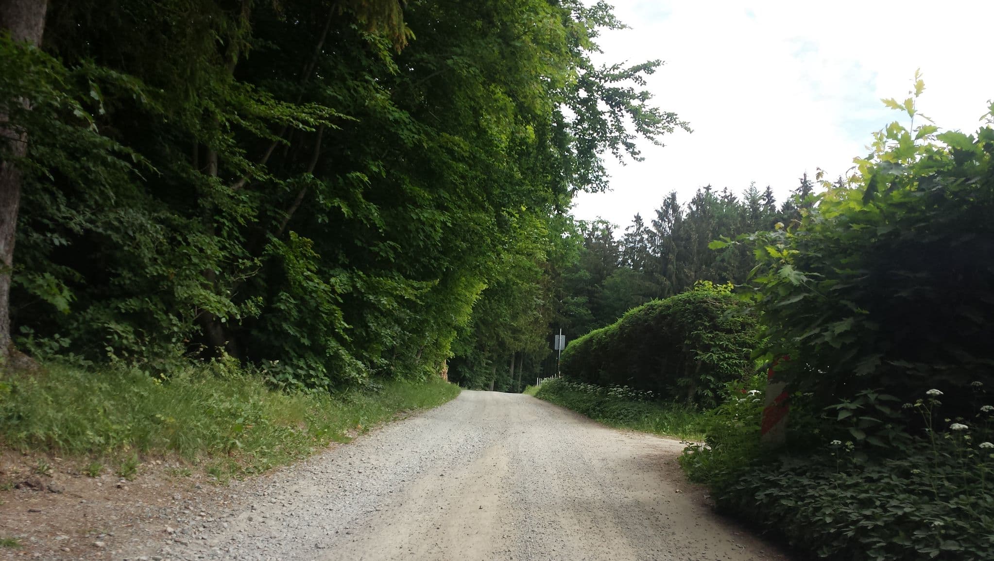 Street view near Trommhaus, Rimbach — © wegavision (CC BY-SA · Mapillary)