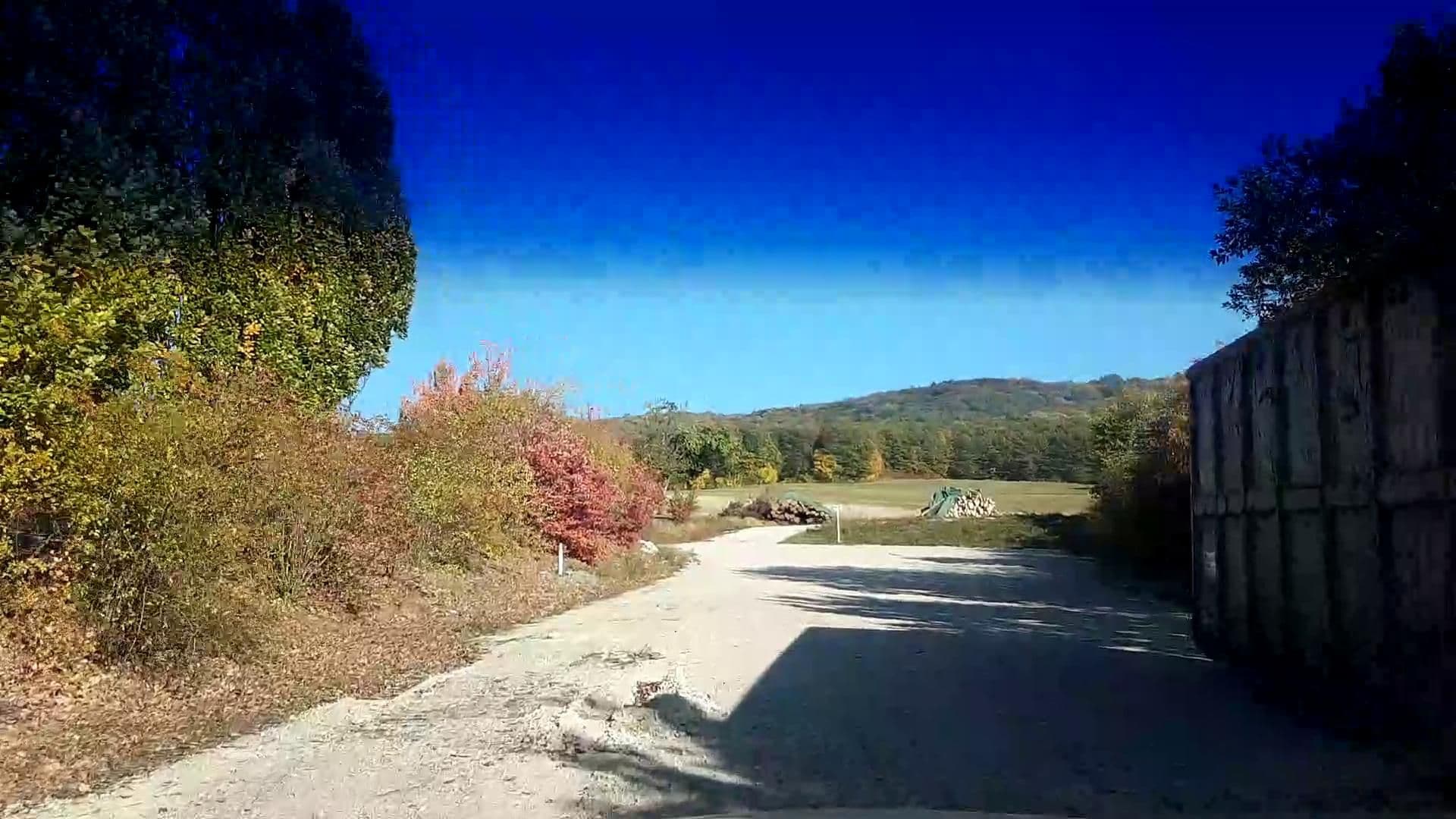 Street view near Landhaus Friesen, Buttenheim — © r66 (CC BY-SA · Mapillary)