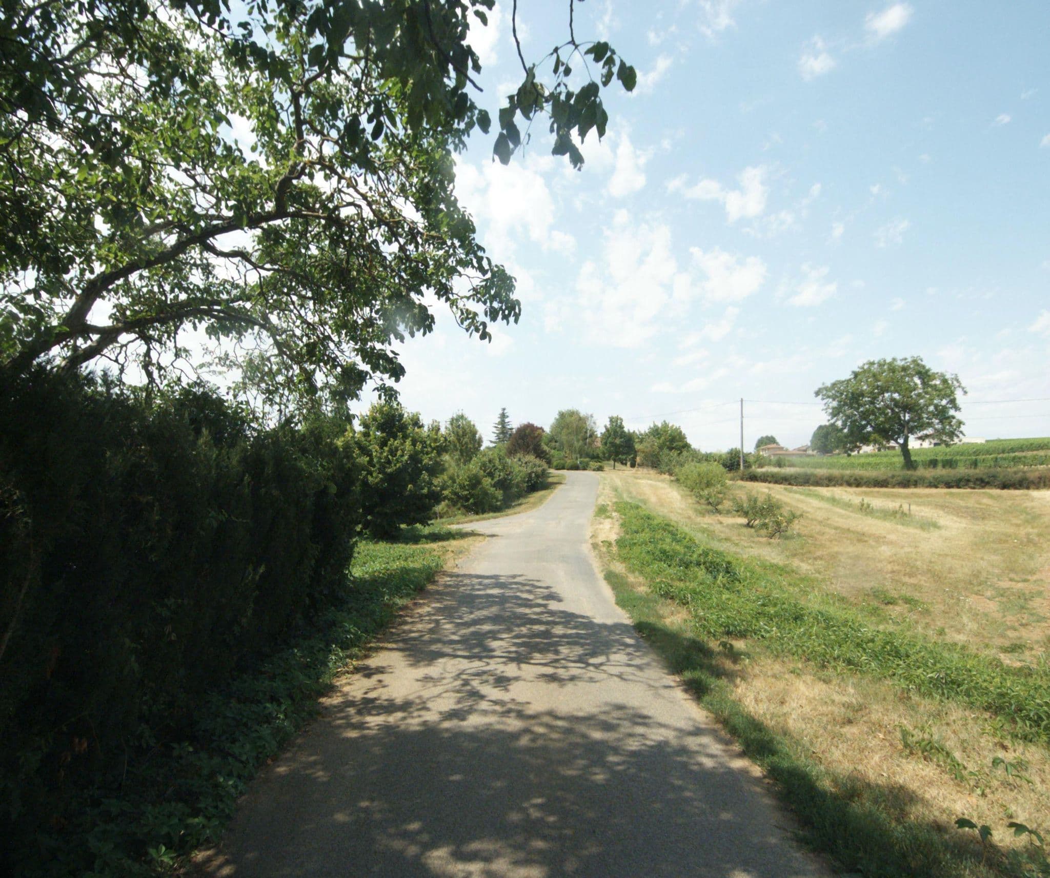 Street view near Domaine de Foncin, Saint-Germain-Nuelles — © sigccpa (CC BY-SA · Mapillary)