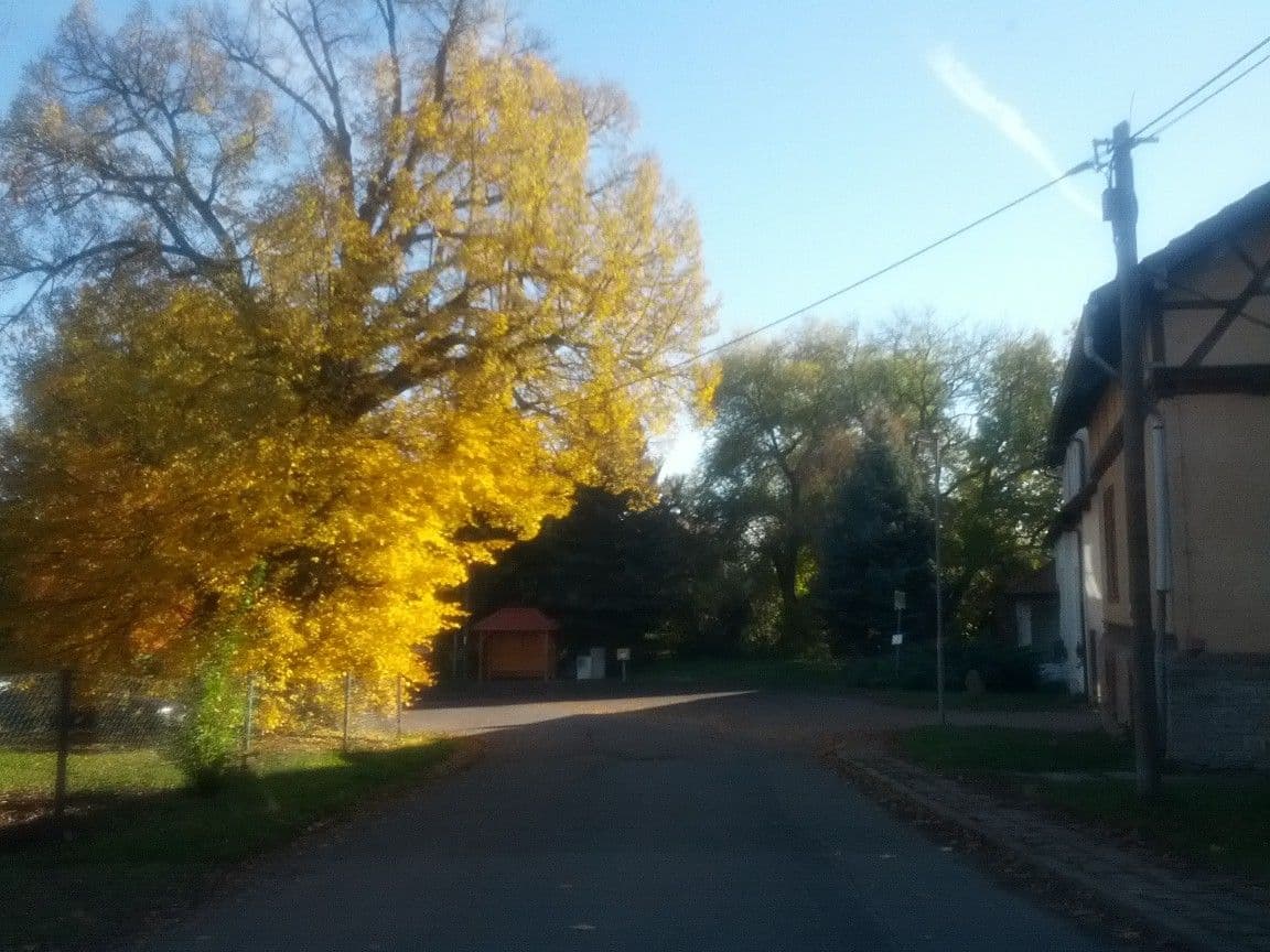 Street view near Familienkommunität Siloah e.V. Rezeption Gästehäuser, Sonneborn — © zoegglmeyr (CC BY-SA · Mapillary)