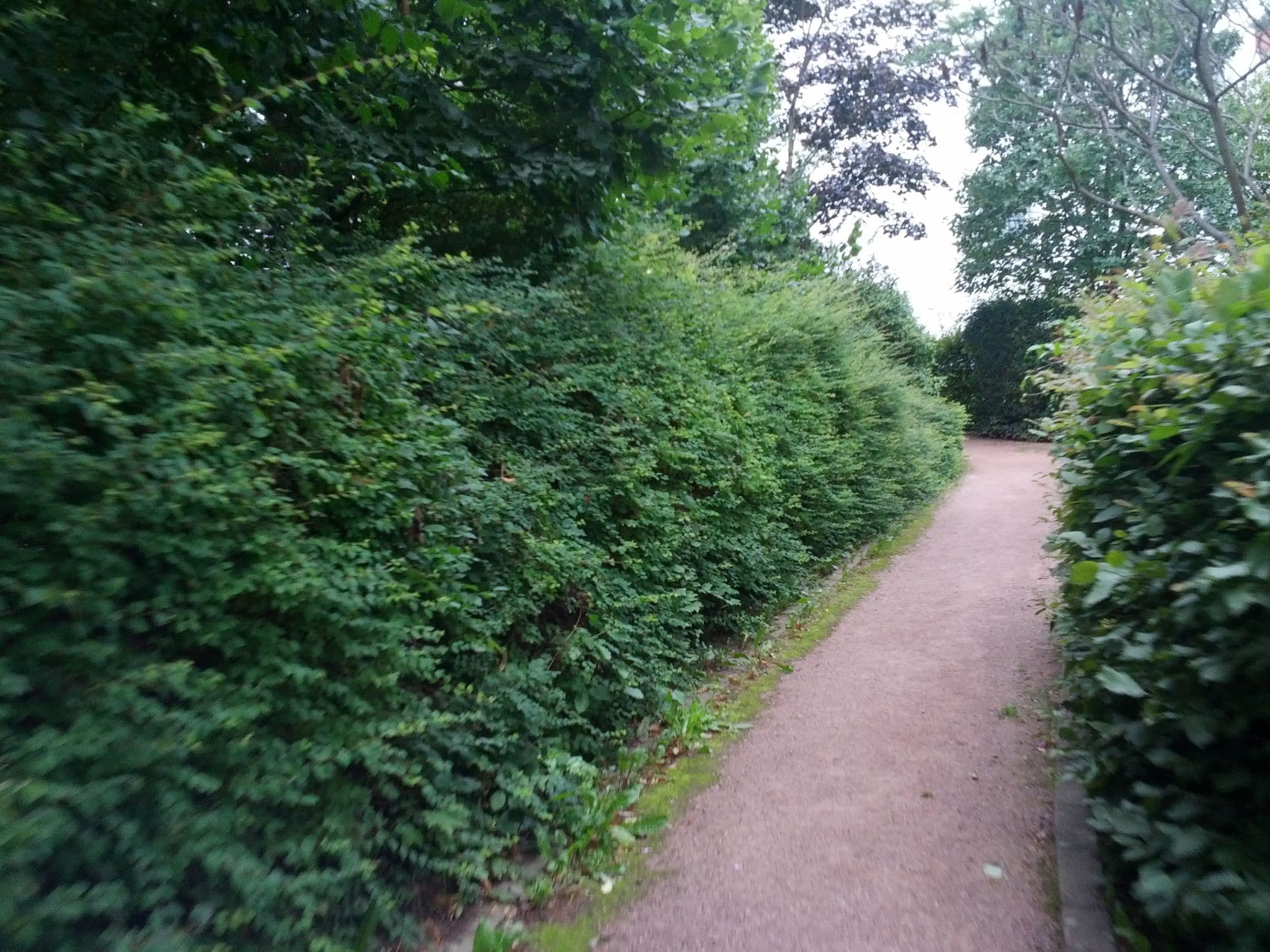 Street view near Hotel & Restaurant Glockenhof, Eisenach — © zoegglmeyr (CC BY-SA · Mapillary)