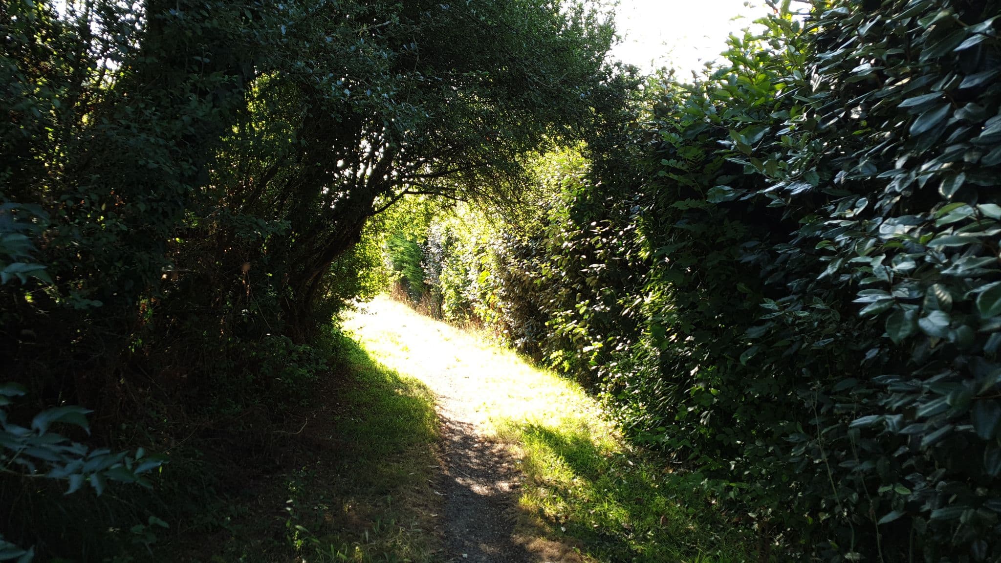 Street view near El Nido, Vannes — © julienwaj (CC BY-SA · Mapillary)