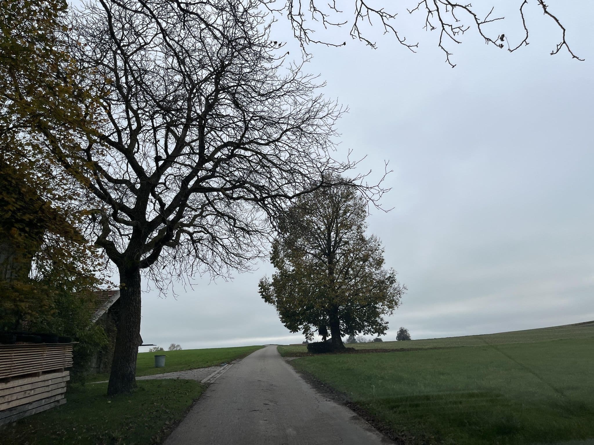 Street view near Einhaus Baiern, Glonn — © maleo (CC BY-SA · Mapillary)