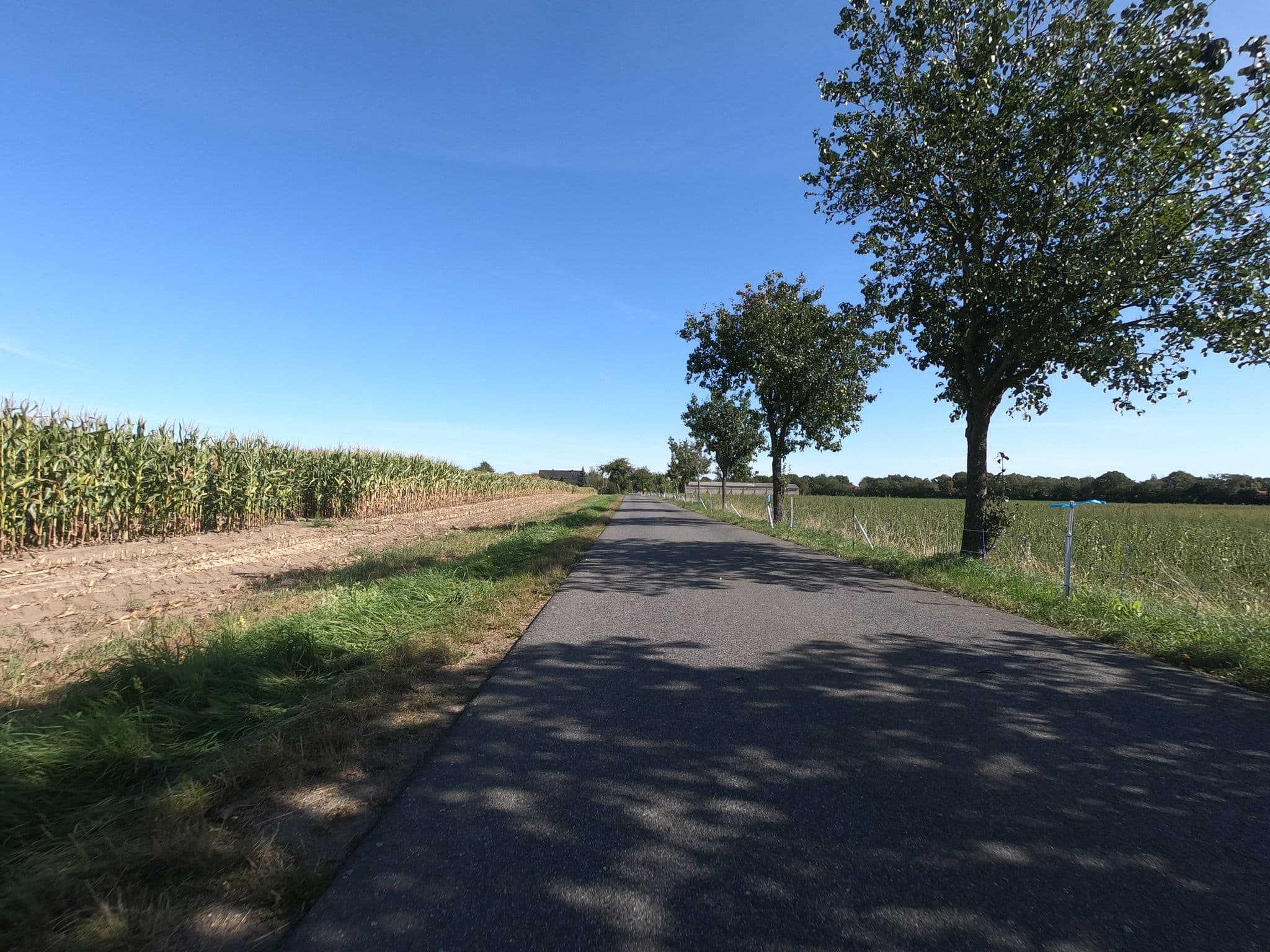 Street view near Bauwagen Airbnb, Kodersdorf — © carlheinz (CC BY-SA · Mapillary)