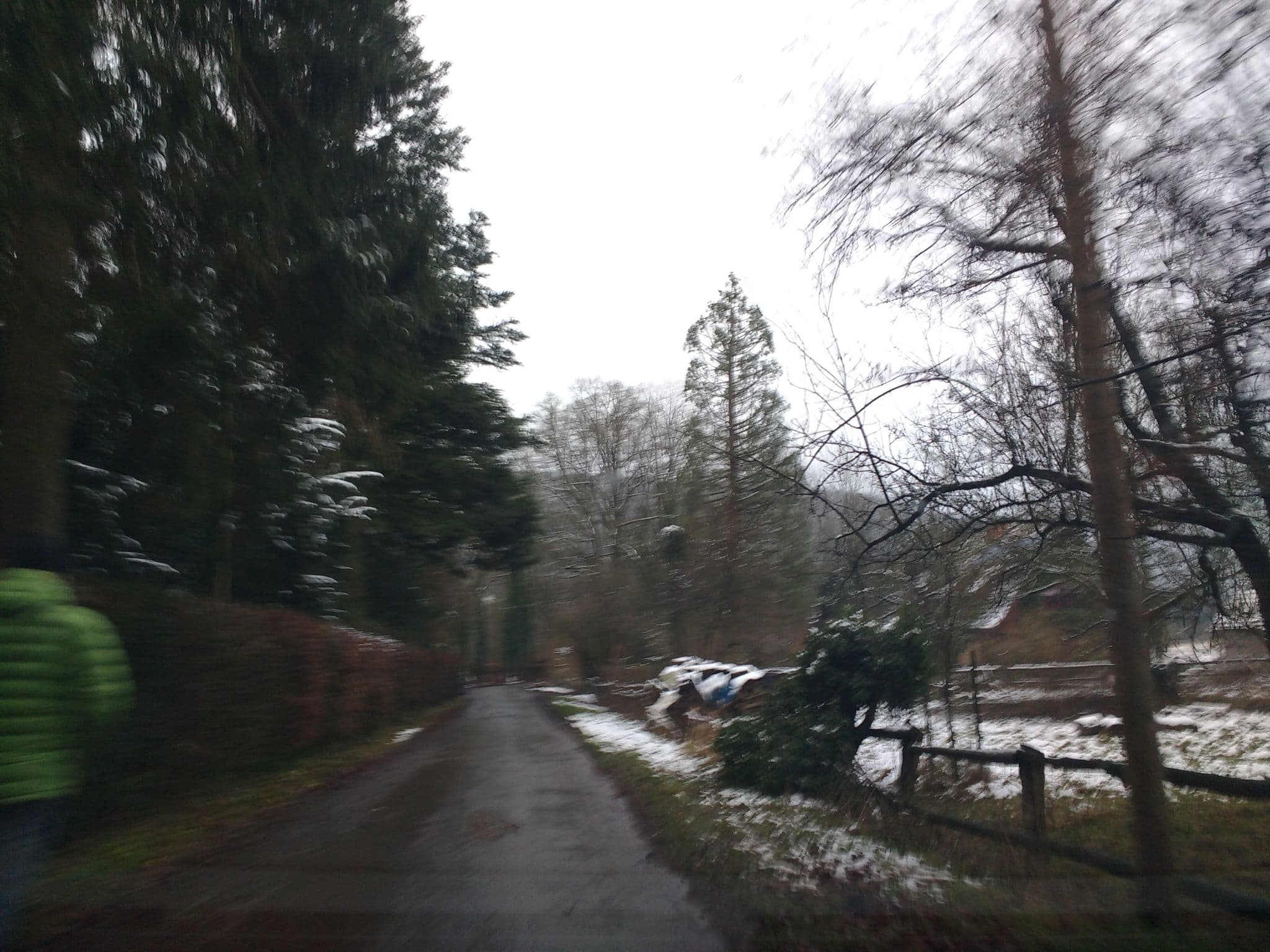 Street view near Altes Forstamt, Altenbeken — © thetornado76 (CC BY-SA · Mapillary)