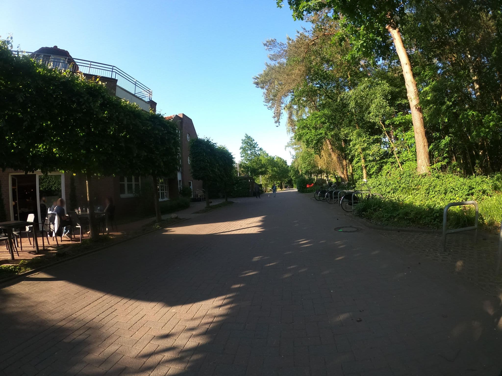 Street view near Dreibrücken, Molbergen — © VIA_KK (CC BY-SA · Mapillary)