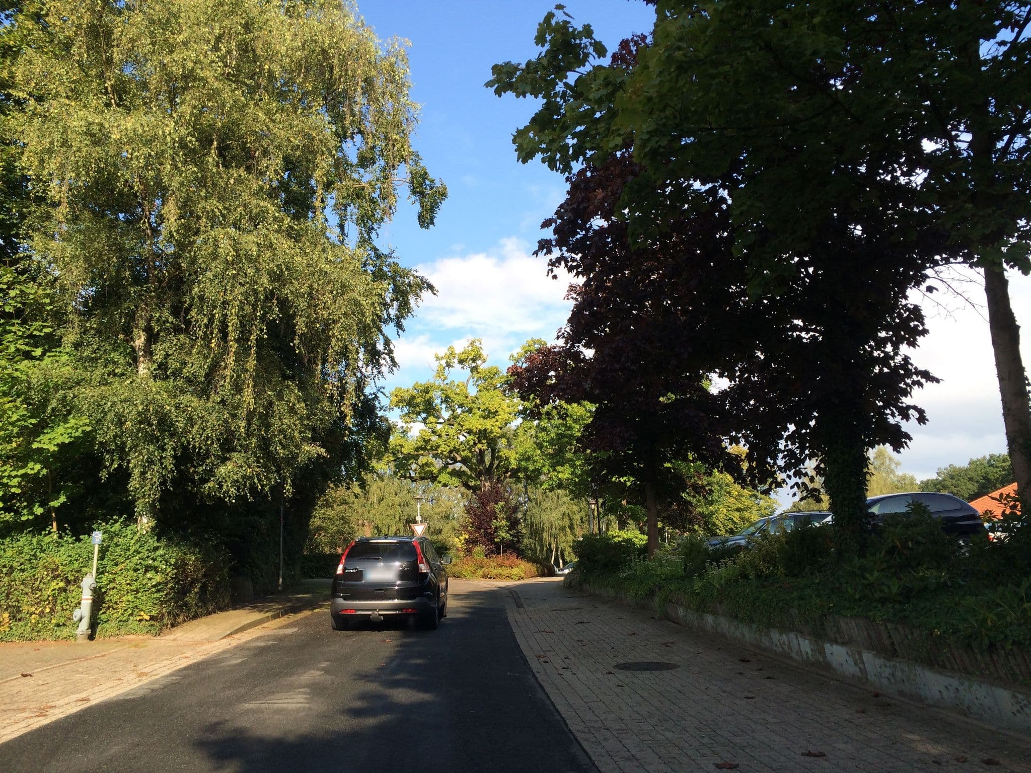 Street view near Landidyll Hotel Backenköhler, Ganderkesee — © sajahome (CC BY-SA · Mapillary)