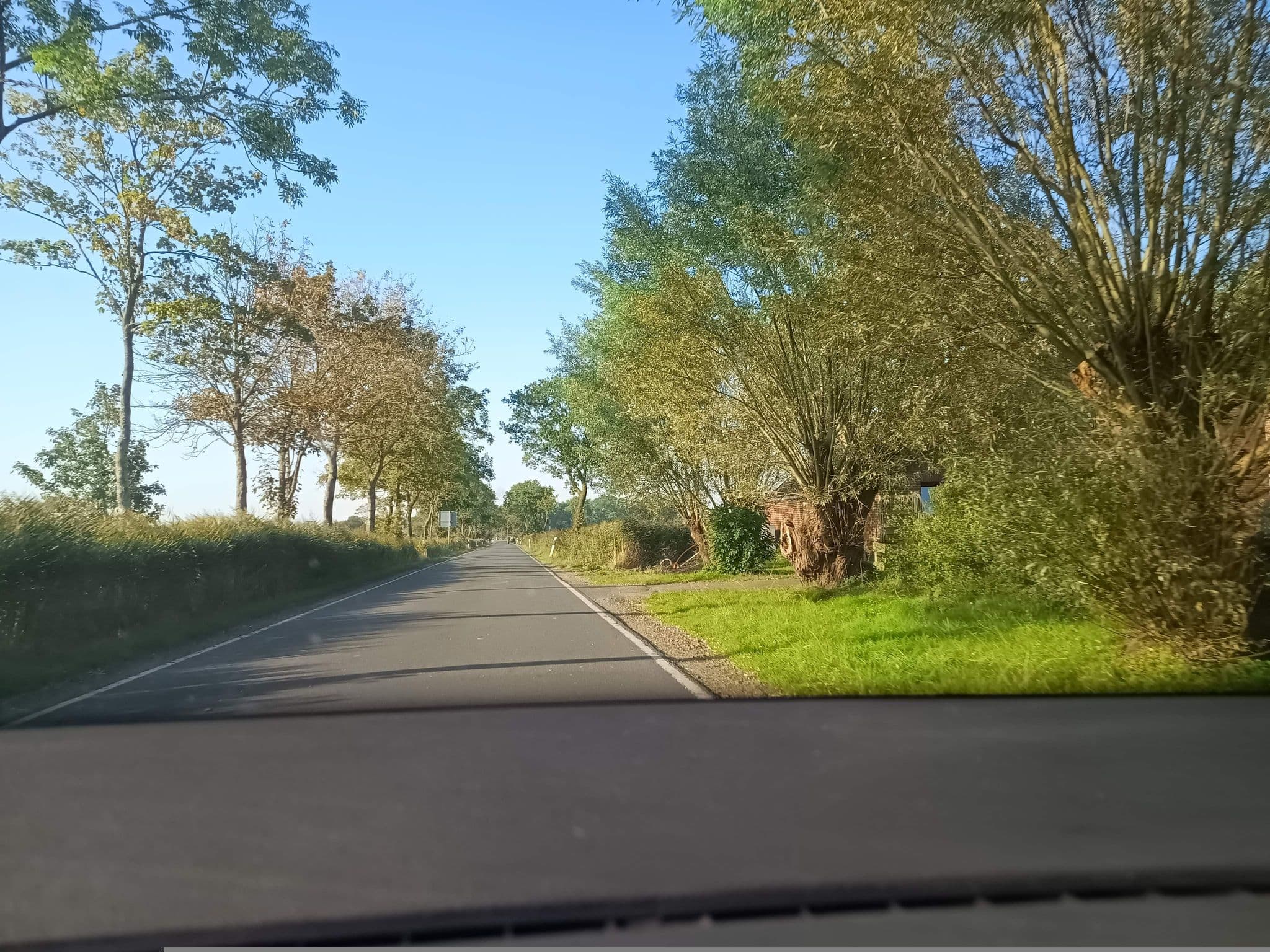 Street view near Haus NordGlück, Butjadingen — © zuse (CC BY-SA · Mapillary)