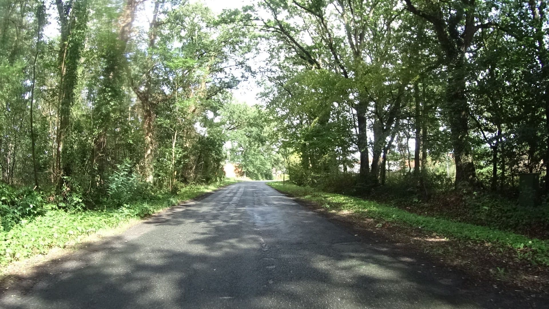 Street view near Jugendherberge Ruttelerfeld, Zetel — © ramap (CC BY-SA · Mapillary)