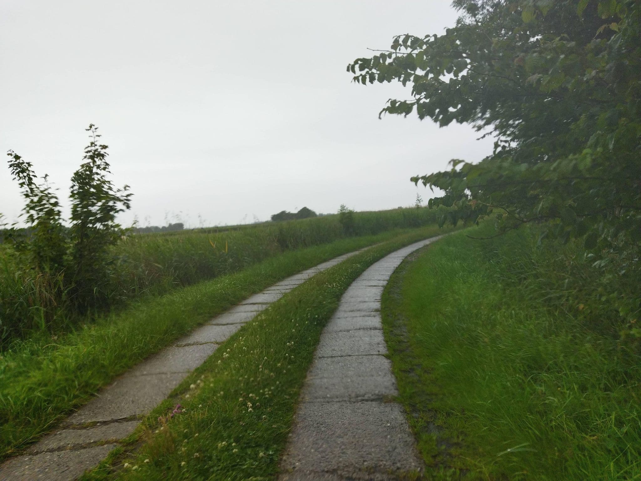 Street view near Ferienhaus Hausen, Garding — © changchun1 (CC BY-SA · Mapillary)
