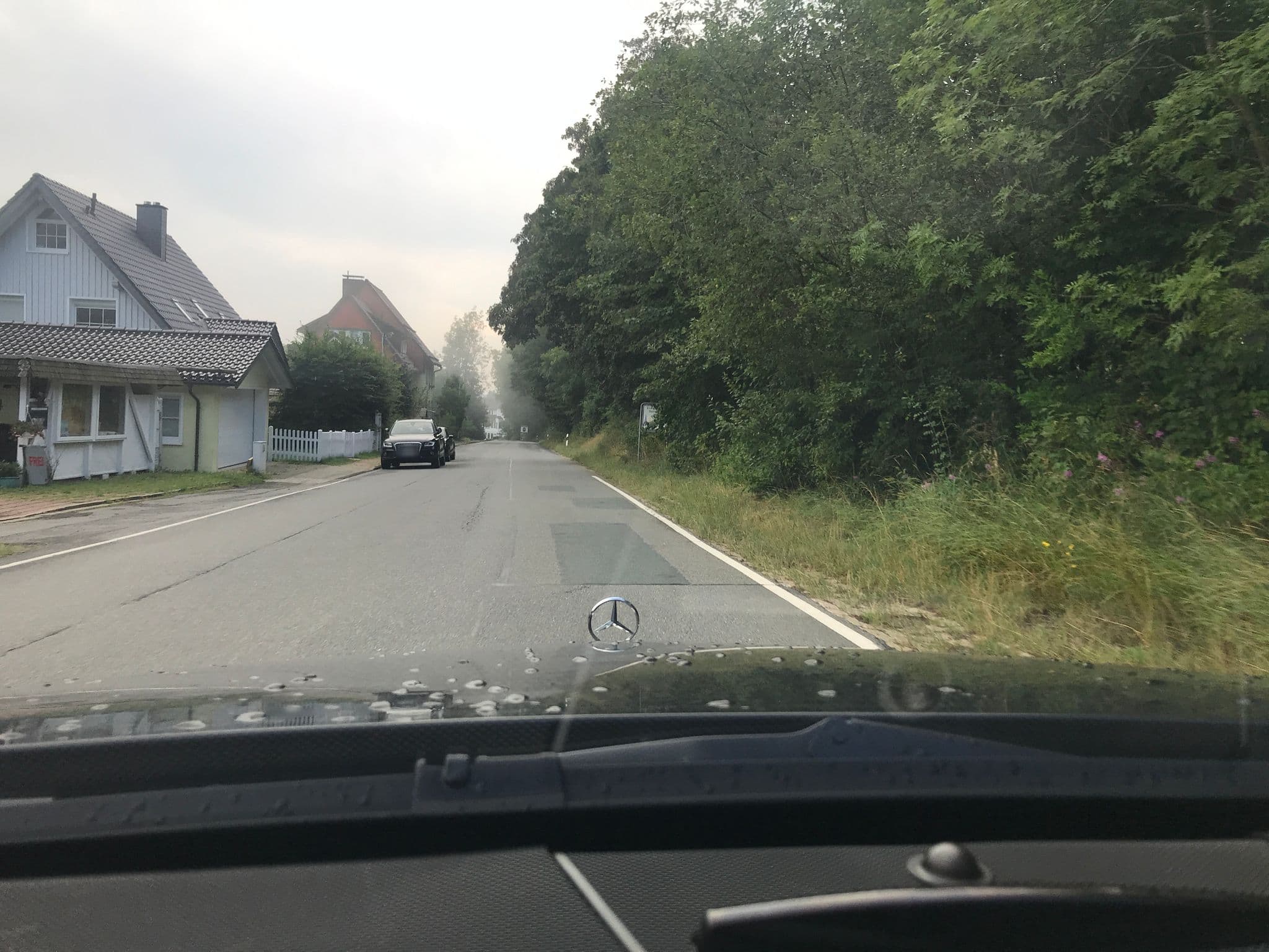 Street view near Landhäuser Bergwiese, Sankt Andreasberg — © saschahaberkorn (CC BY-SA · Mapillary)