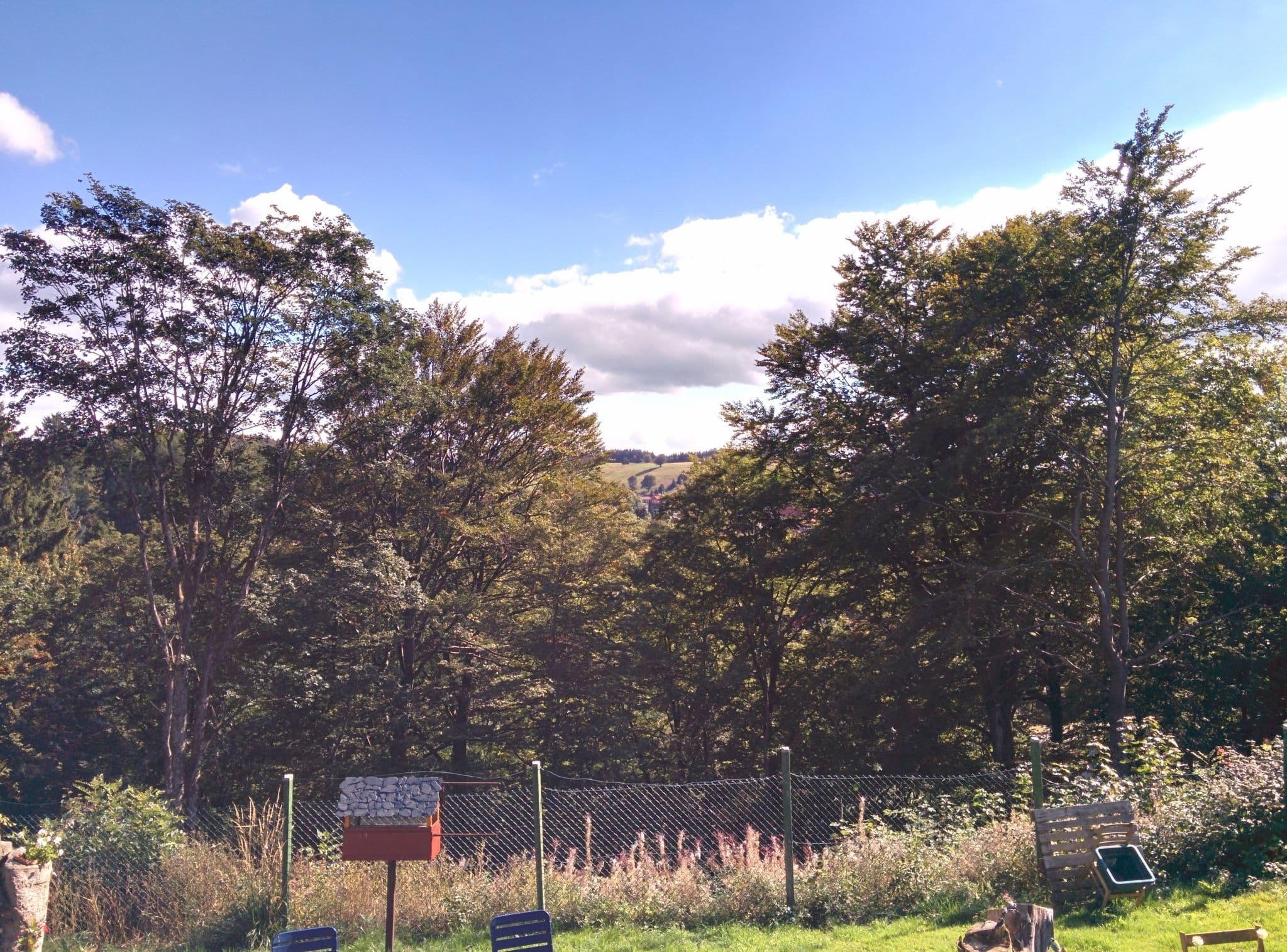 Street view near Blockhaus Kik im Harz, Sankt Andreasberg — © bitnapper (CC BY-SA · Mapillary)
