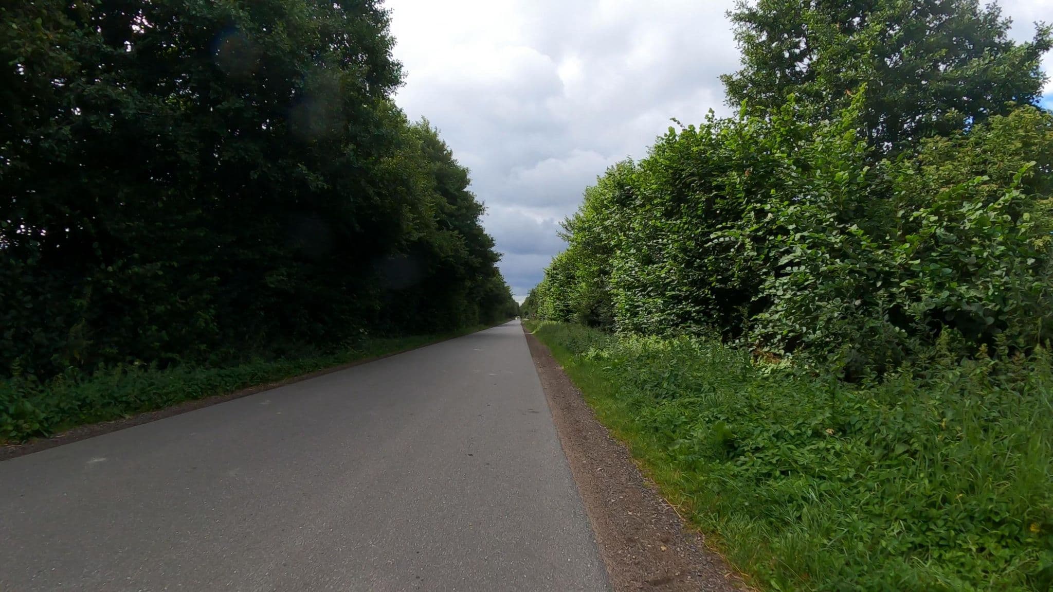Street view near Pension Dorotheas Bed & Breakfast, Padenstedt — © veloroute_hamburg (CC BY-SA · Mapillary)