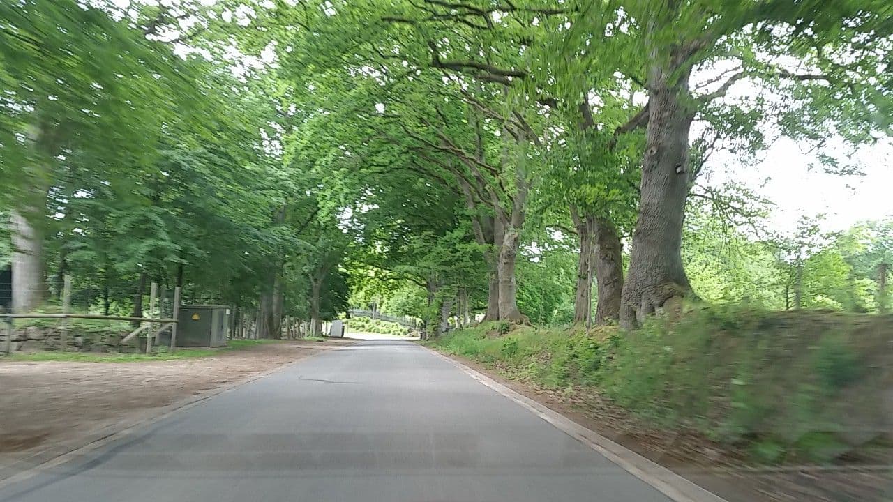 Street view near Gasthof Waldeslust Familie Koops, Trittau — © tian (CC BY-SA · Mapillary)