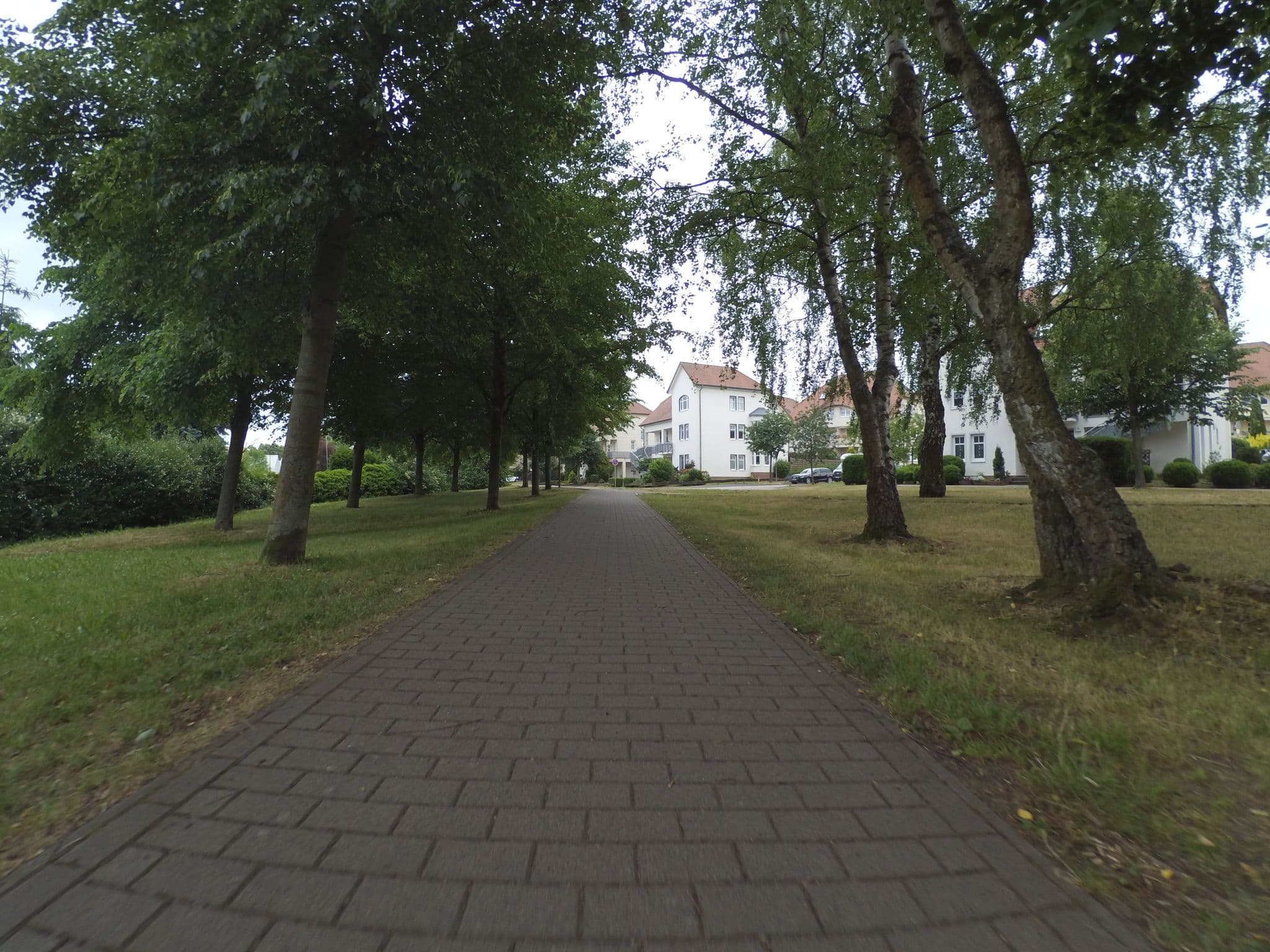 Street view near Rainer Heimbold, Parchim — © peewee32 (CC BY-SA · Mapillary)