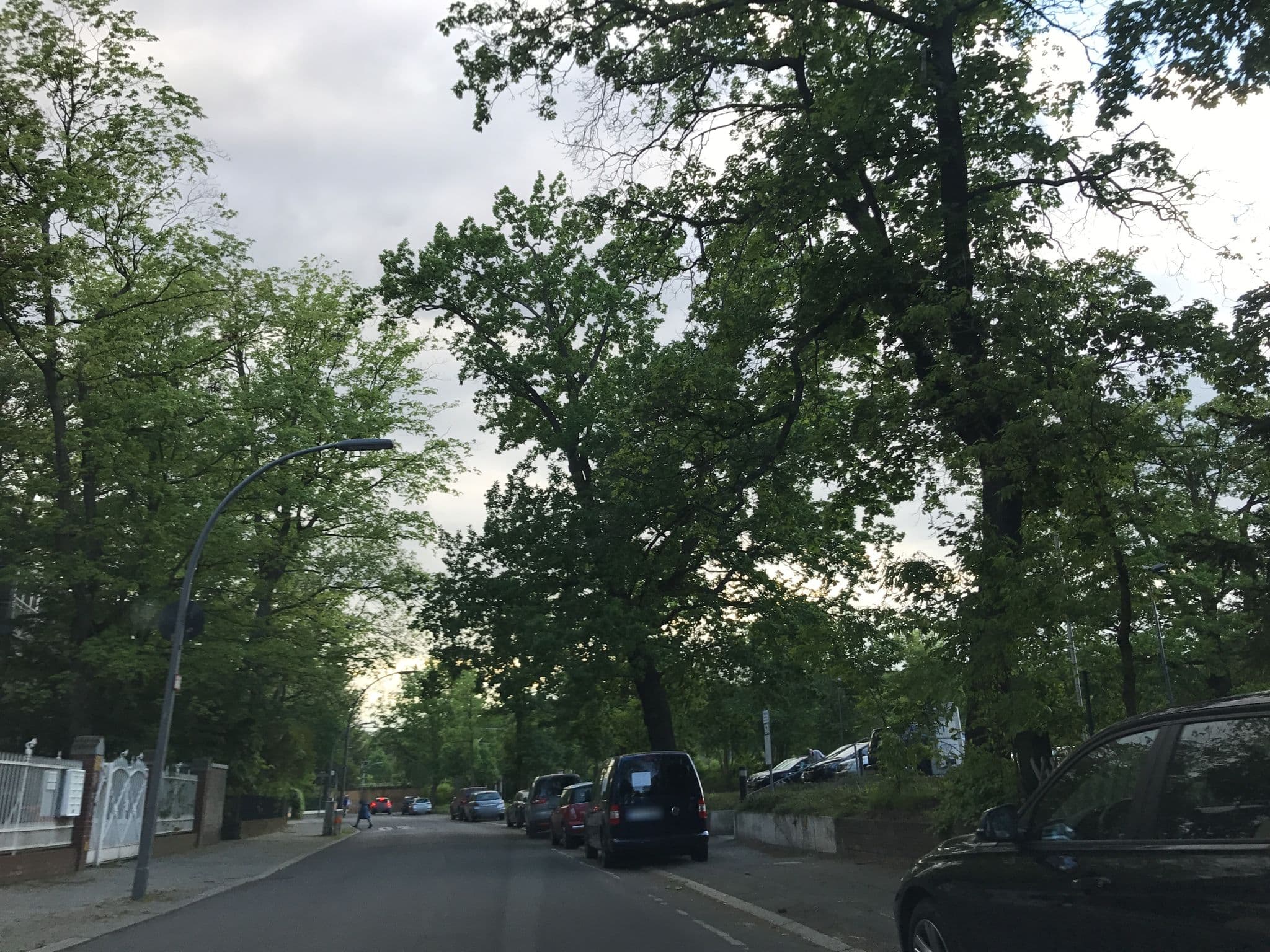 Street view near Fleesensee GmbH & Co. Clubanlage, Grunewald — © tb4711 (CC BY-SA · Mapillary)
