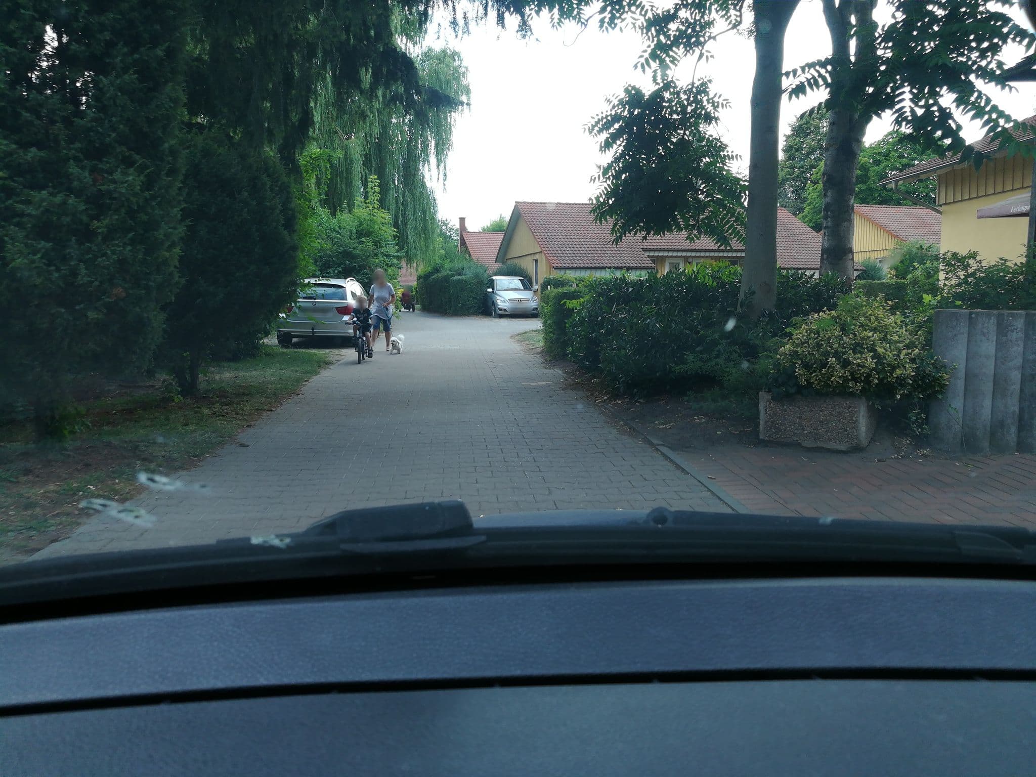 Street view near Ferienhaus Wildgans Classic 249, Rechlin — © thorstenh (CC BY-SA · Mapillary)