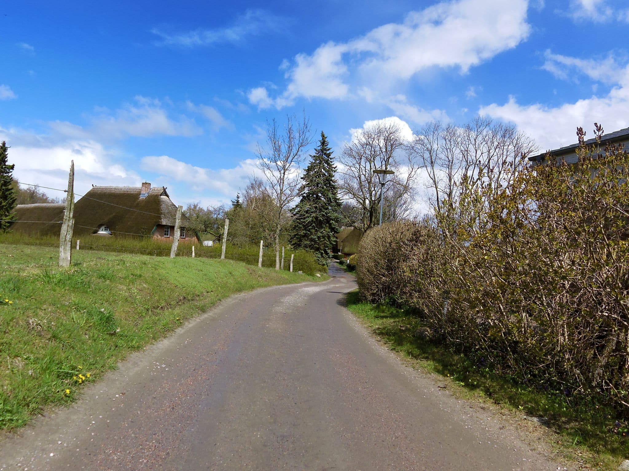 Street view near Haus Frida, Born — © zoegglmeyr (CC BY-SA · Mapillary)