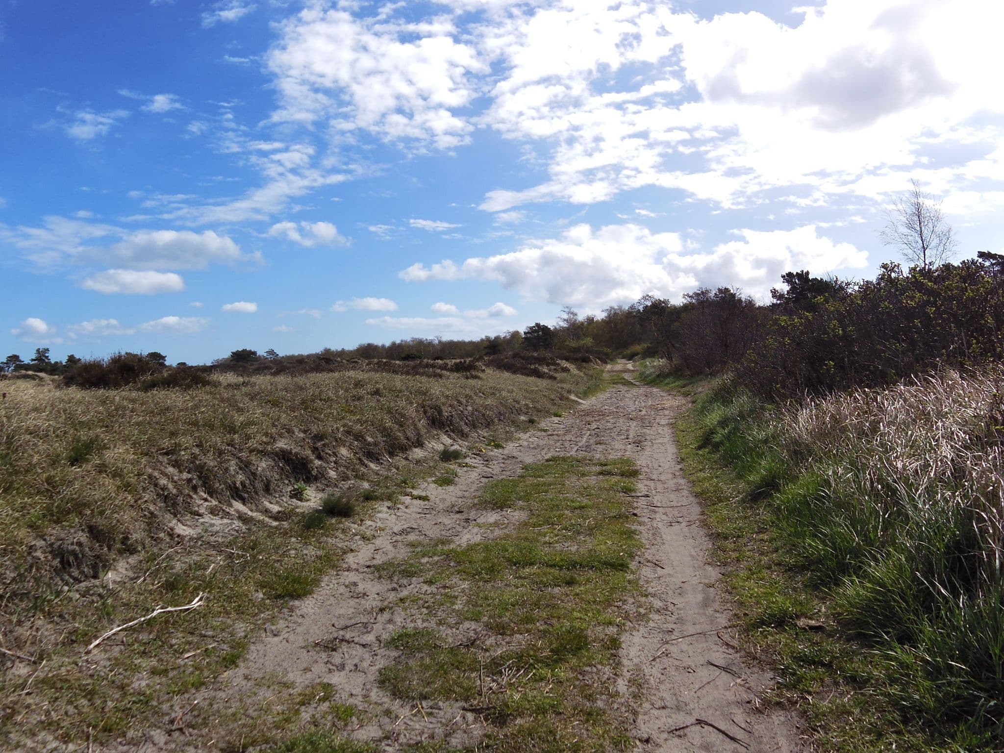 Street view near Morgensonne, Hiddensee — © zoegglmeyr (CC BY-SA · Mapillary)
