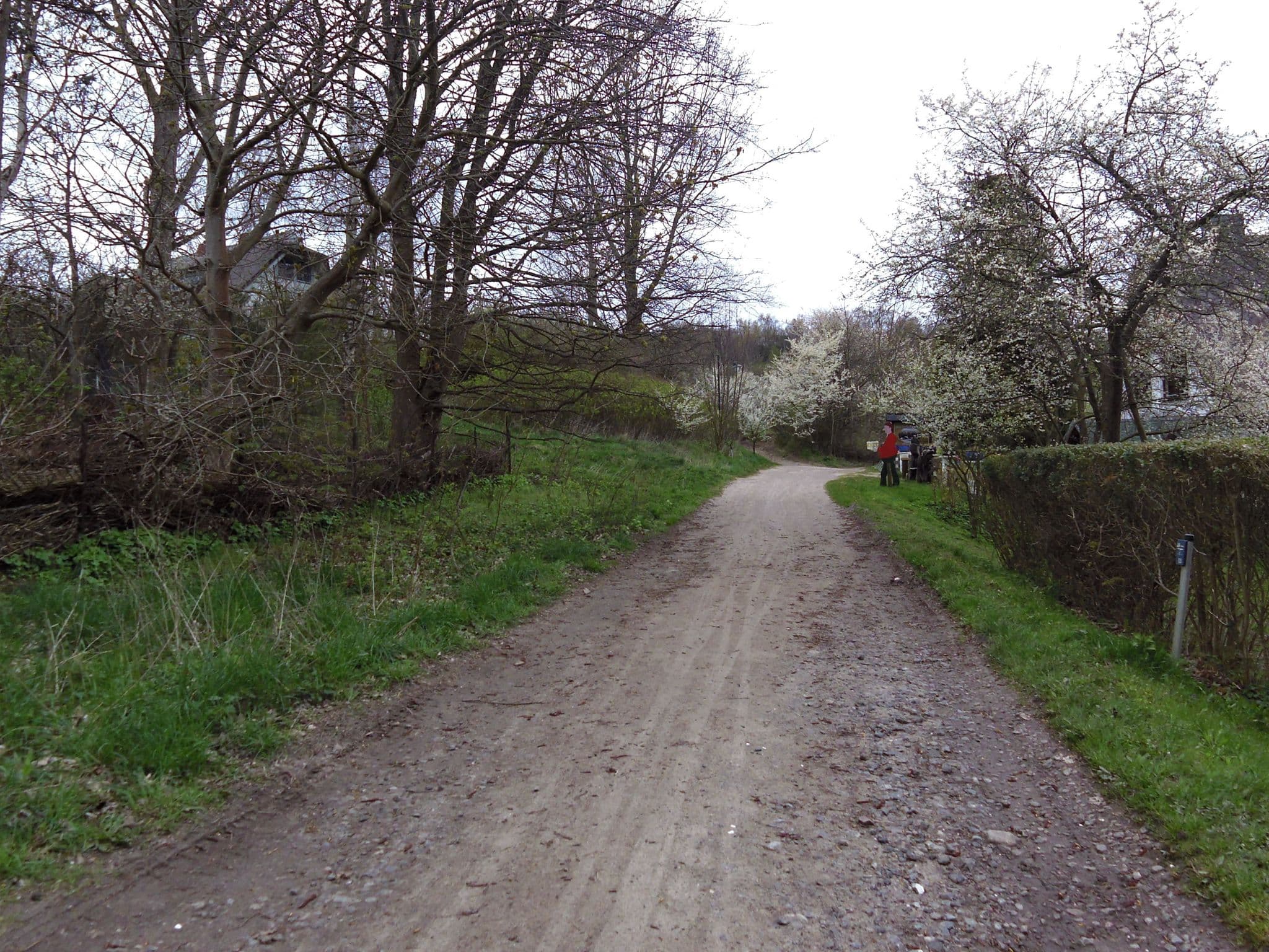 Street view near Hiddenseer Pension Inselidyll Kerstin Hennig, Hiddensee — © zoegglmeyr (CC BY-SA · Mapillary)