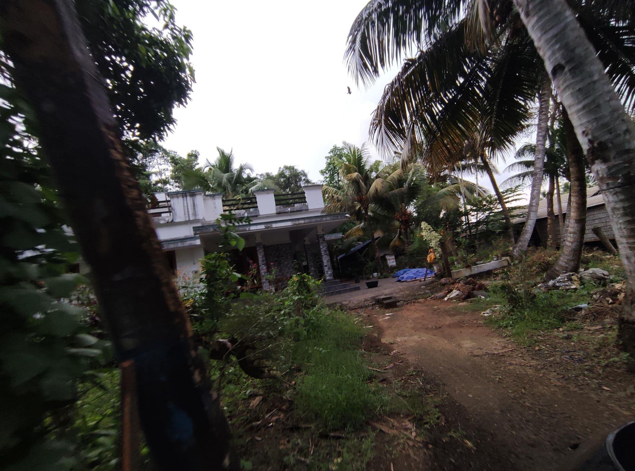 Street view near Mango Kerala Homes, Thanneermukkom — © V15 (CC BY-SA · Mapillary)