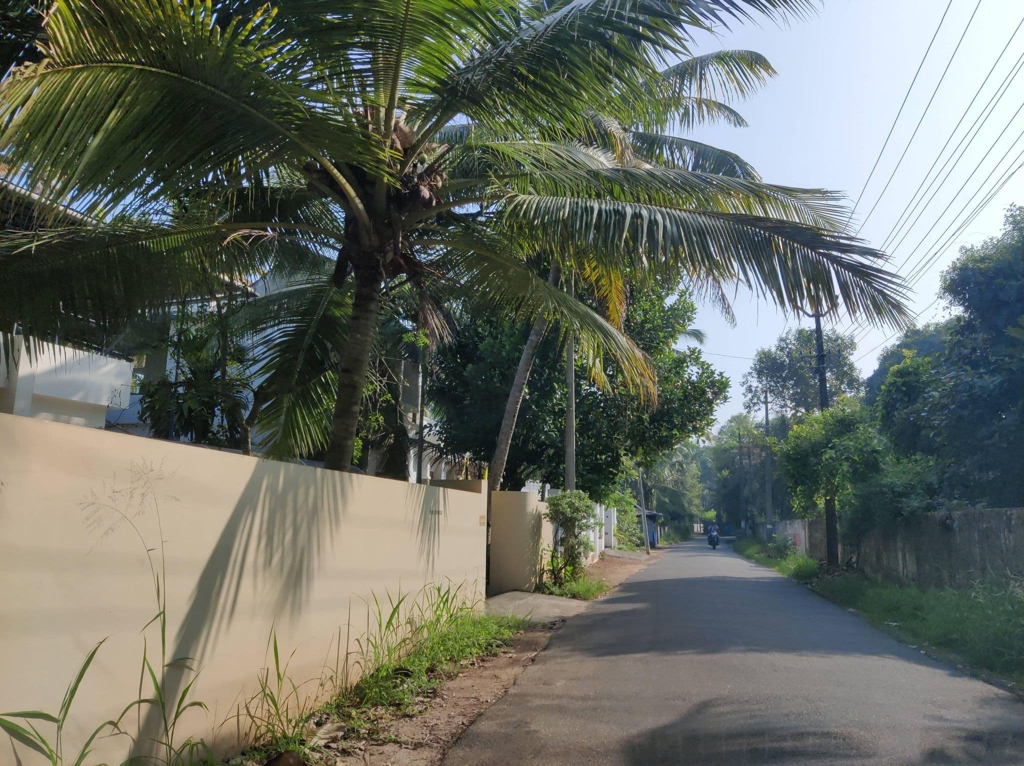 Street view near Palath Homestay, Thanneermukkom — © Gannu03 (CC BY-SA · Mapillary)