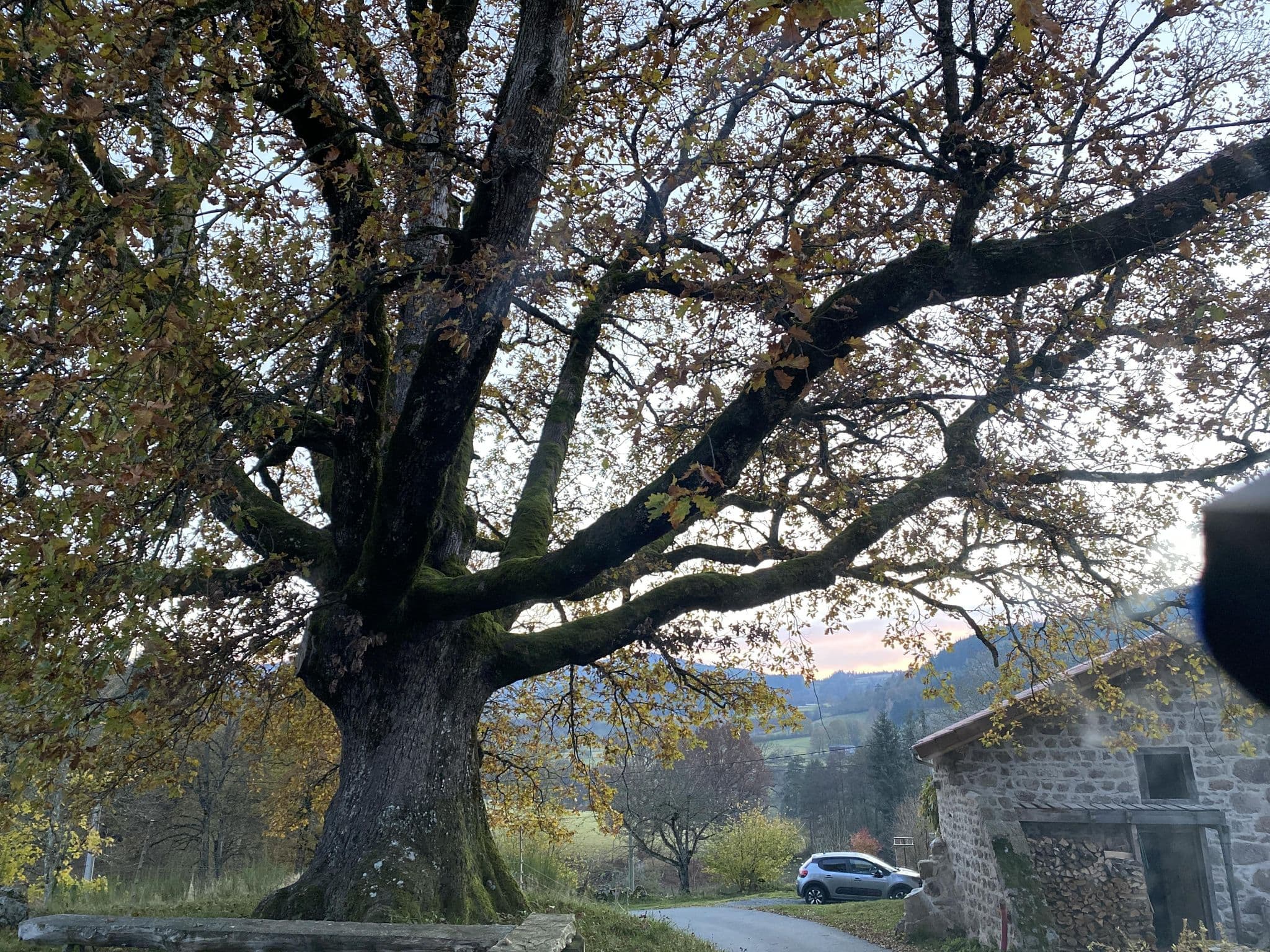Street view near La Gilbernie, Noirétable — © fpm (CC BY-SA · Mapillary)