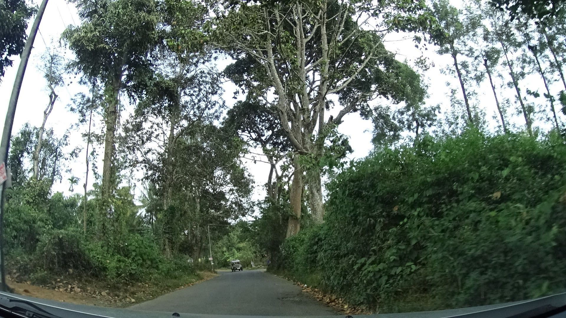 Street view near Technogreen Plantation Stay, Tondalam — © geohacker (CC BY-SA · Mapillary)