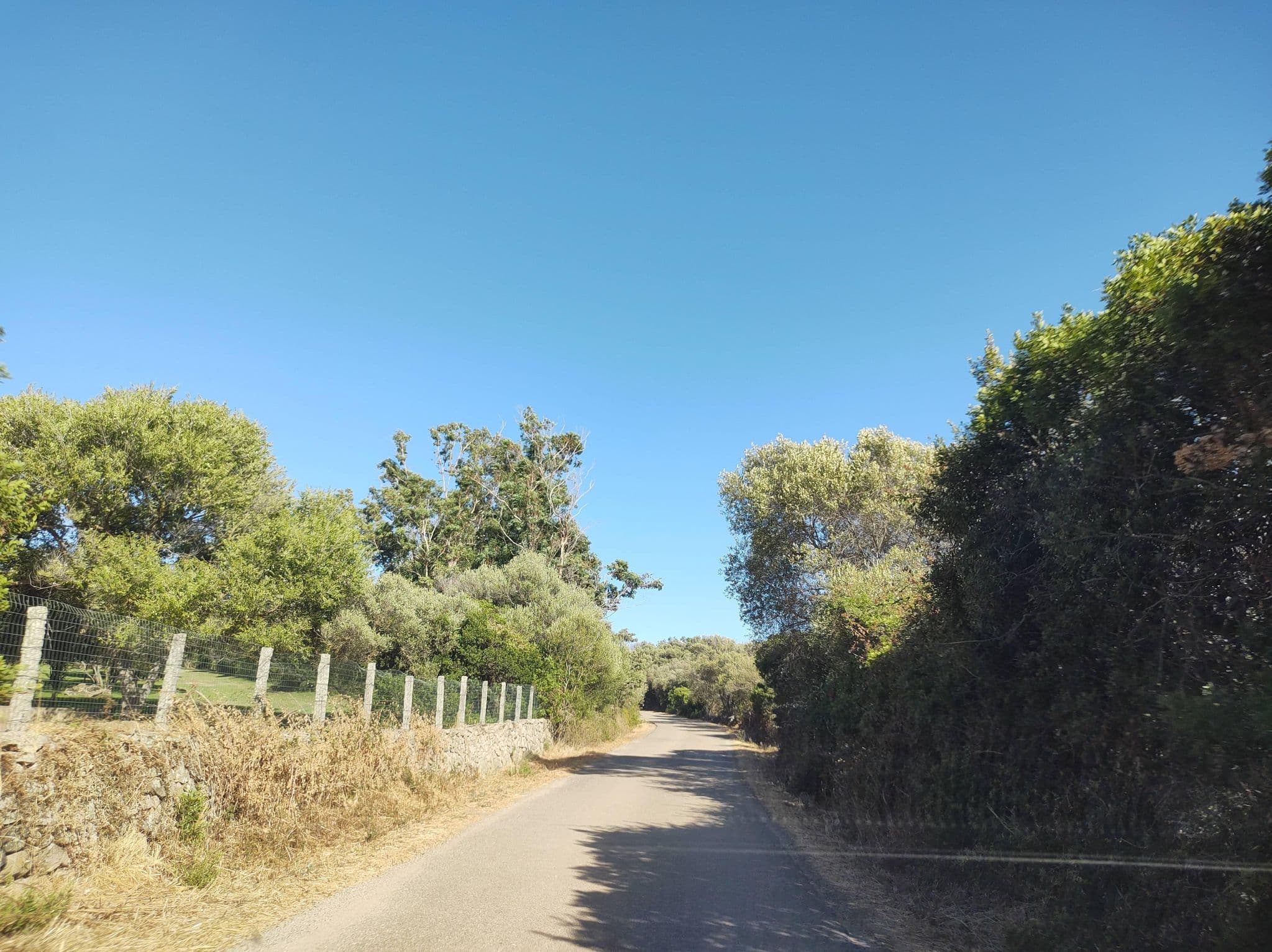 Street view near Jaddhu Ristorante Country Resort, Arzachena — © thetornado76 (CC BY-SA · Mapillary)