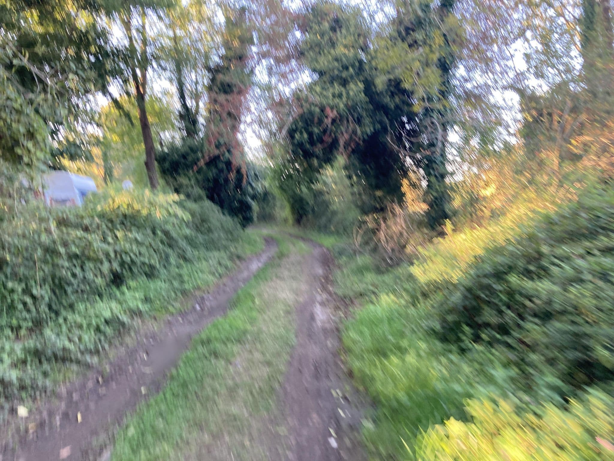 Street view near Le Terrier, Artiguelouve — © maxm64 (CC BY-SA · Mapillary)