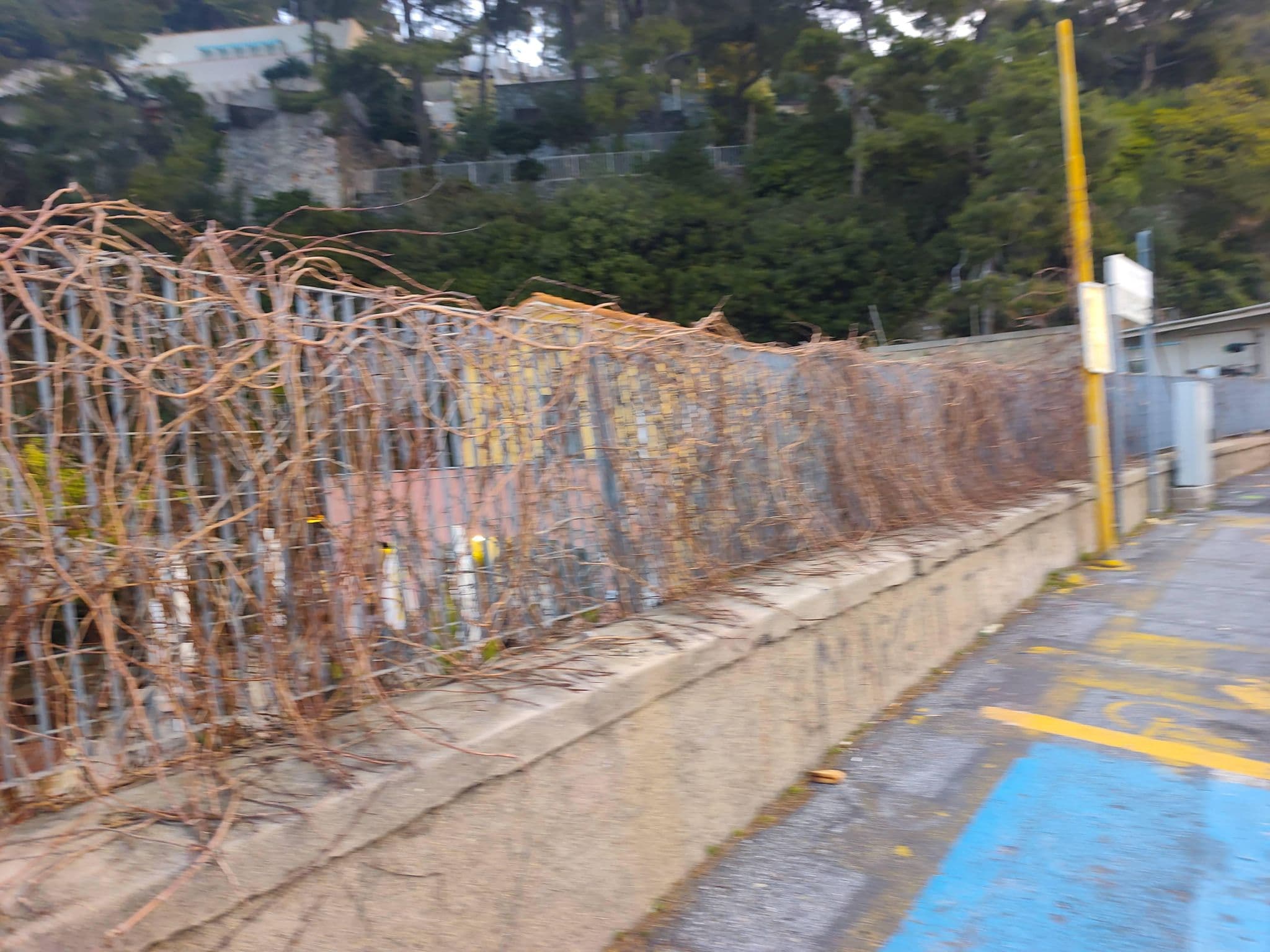 Street view near B&Beach, Bergeggi — © Duro (CC BY-SA · Mapillary)