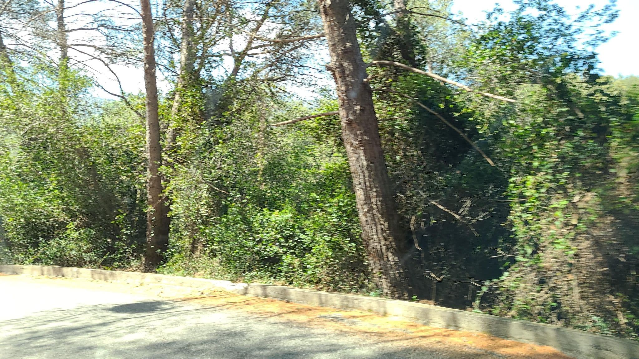 Street view near Agriturismo Rio Castello, Laigueglia — © chrisbeddow (CC BY-SA · Mapillary)