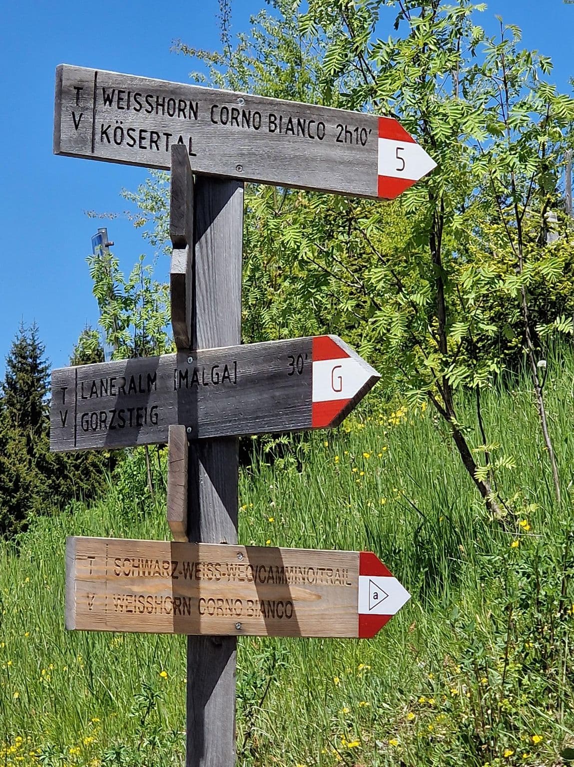 Street view near Schmiederalm, Aldino — © santon (CC BY-SA · Mapillary)