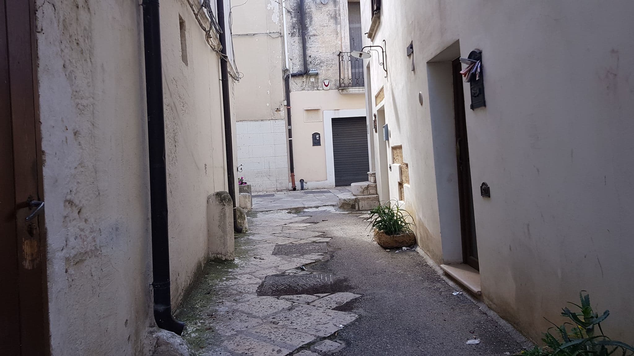 Street view near Tarì, Mesagne — © ale_zena_it (CC BY-SA · Mapillary)