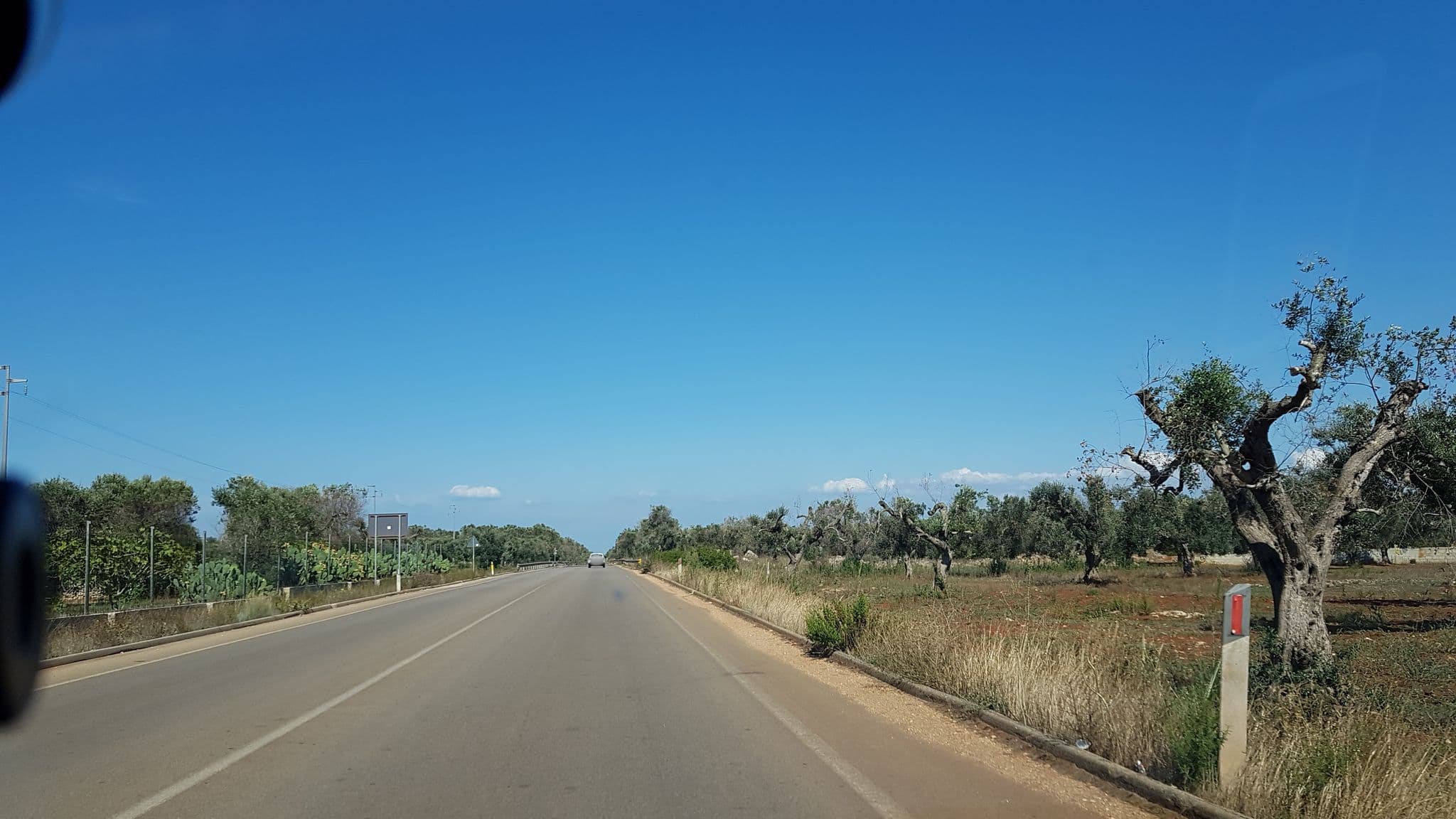 Street view near B&B Il Casolare, Leverano — © ale_zena_it (CC BY-SA · Mapillary)
