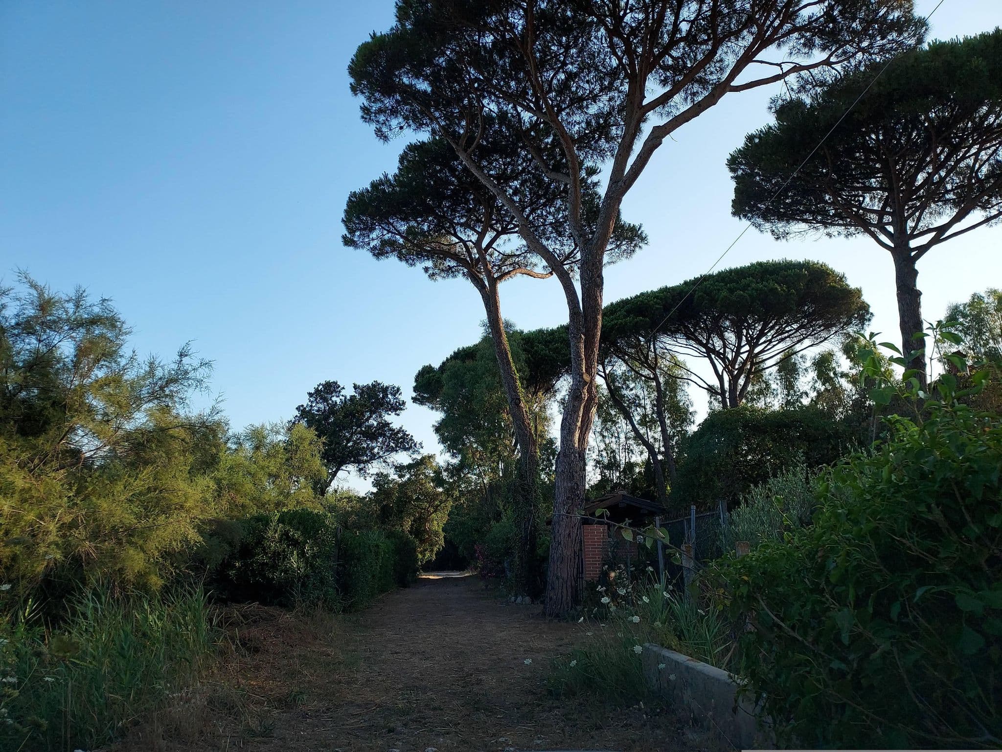 Street view near La Piccola Rugantina, Molella — © odiug (CC BY-SA · Mapillary)