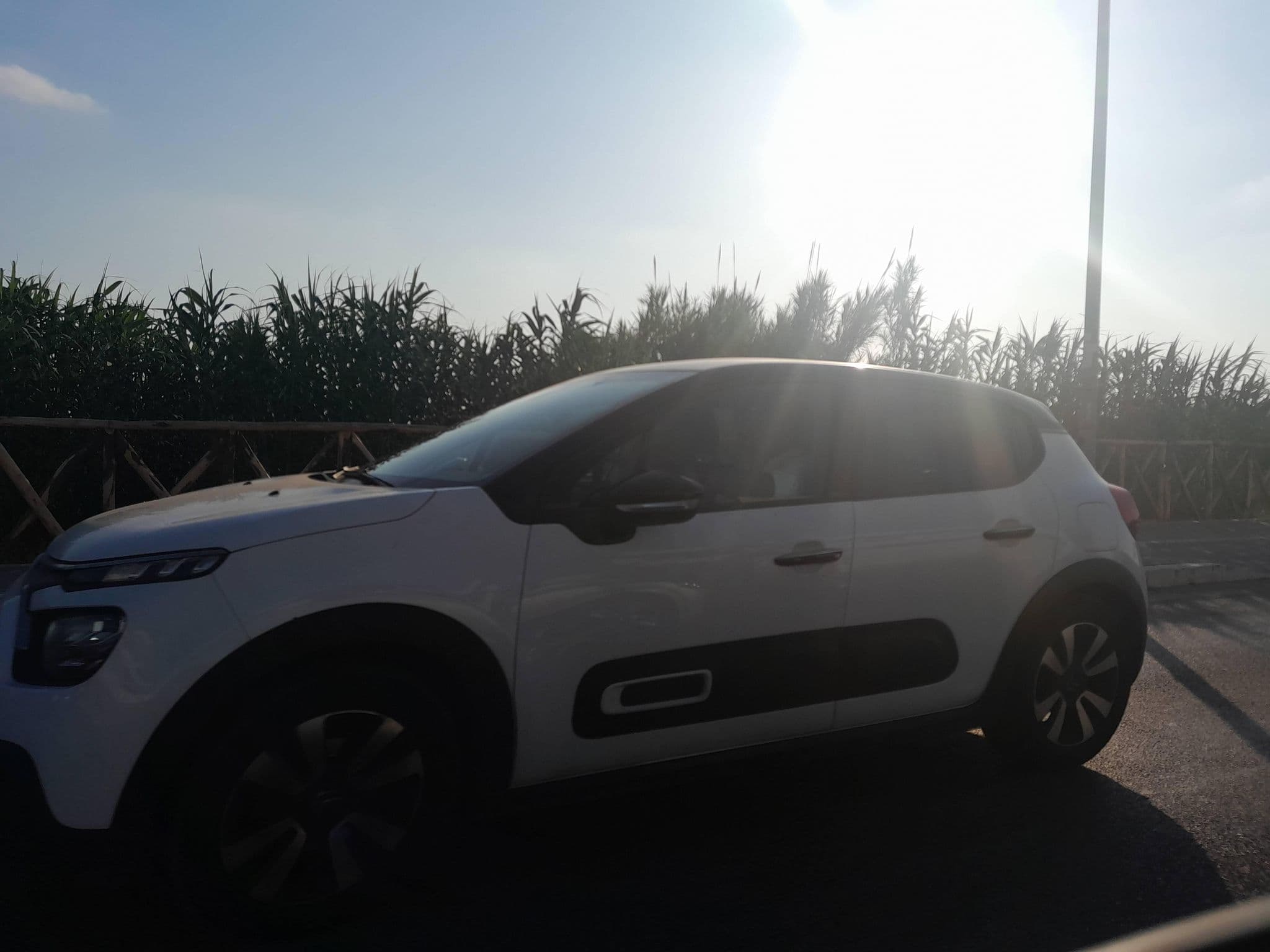 Street view near B&B Villa Evelina, Anzio — © omfg_notpr (CC BY-SA · Mapillary)