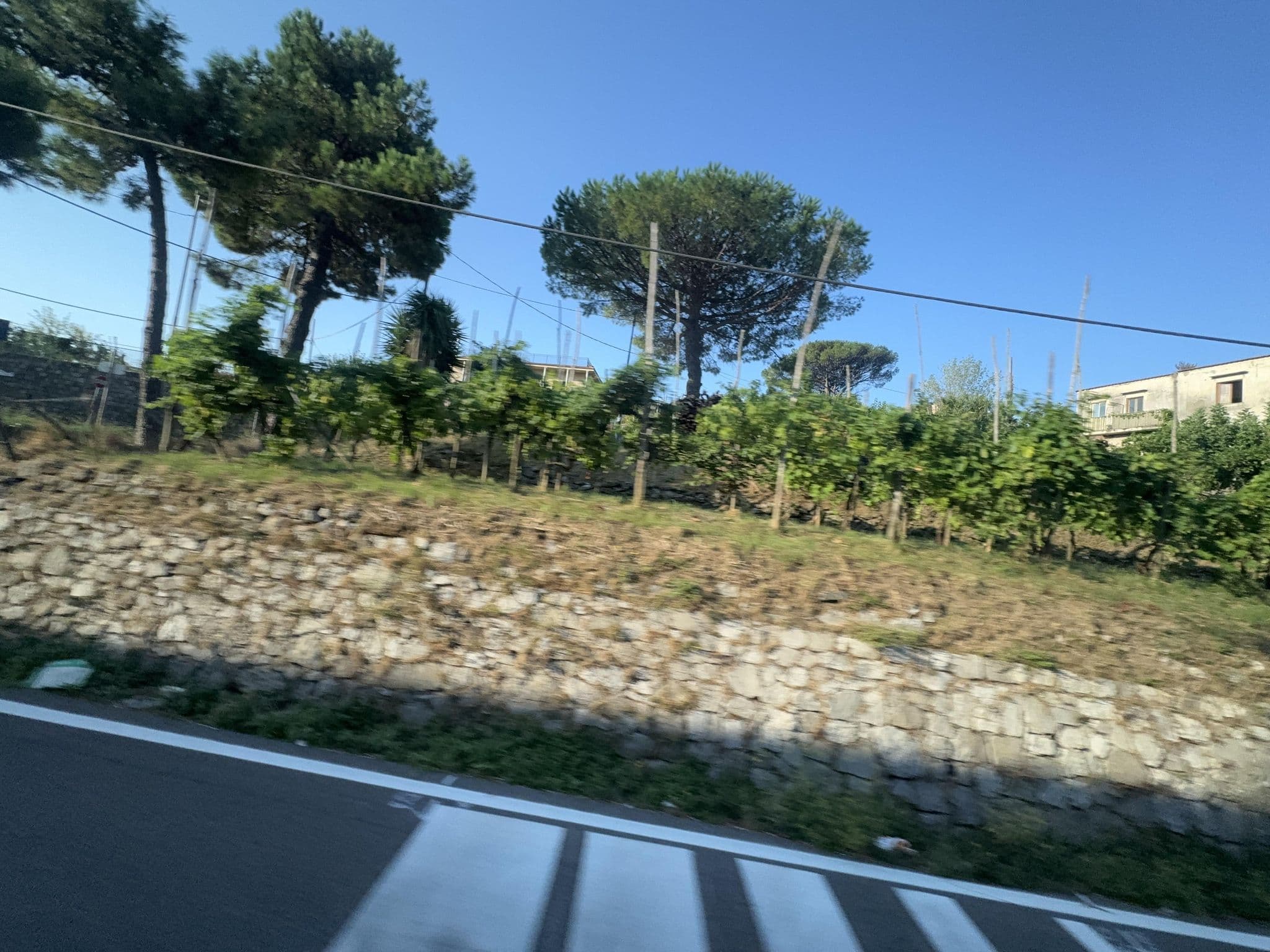 Street view near Hotel Colli San Pietro, Piano di Sorrento — © mapconcierge (CC BY-SA · Mapillary)