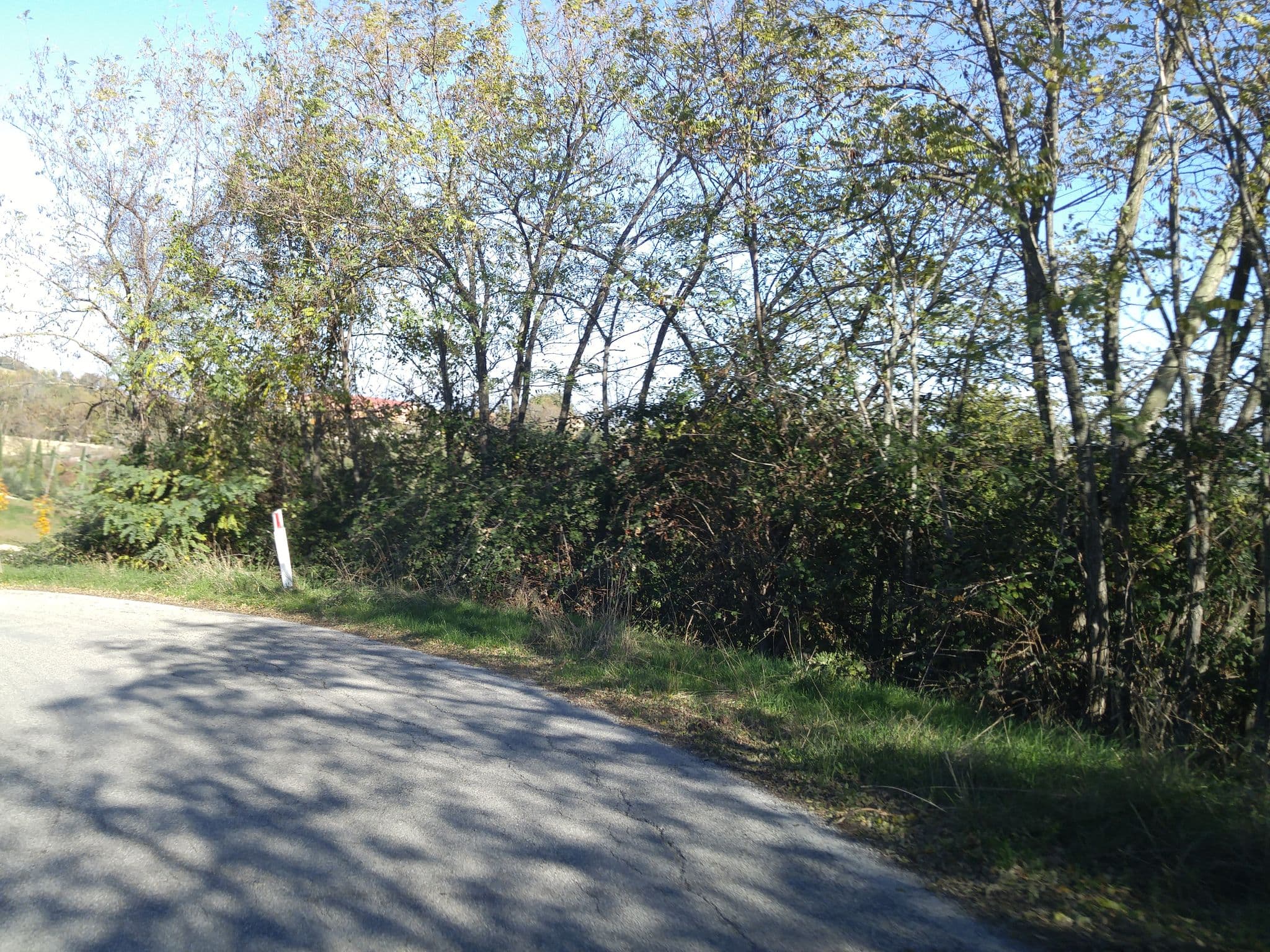 Street view near Symposium 4 Stagioni, Calcinelli — © sorcrosc (CC BY-SA · Mapillary)
