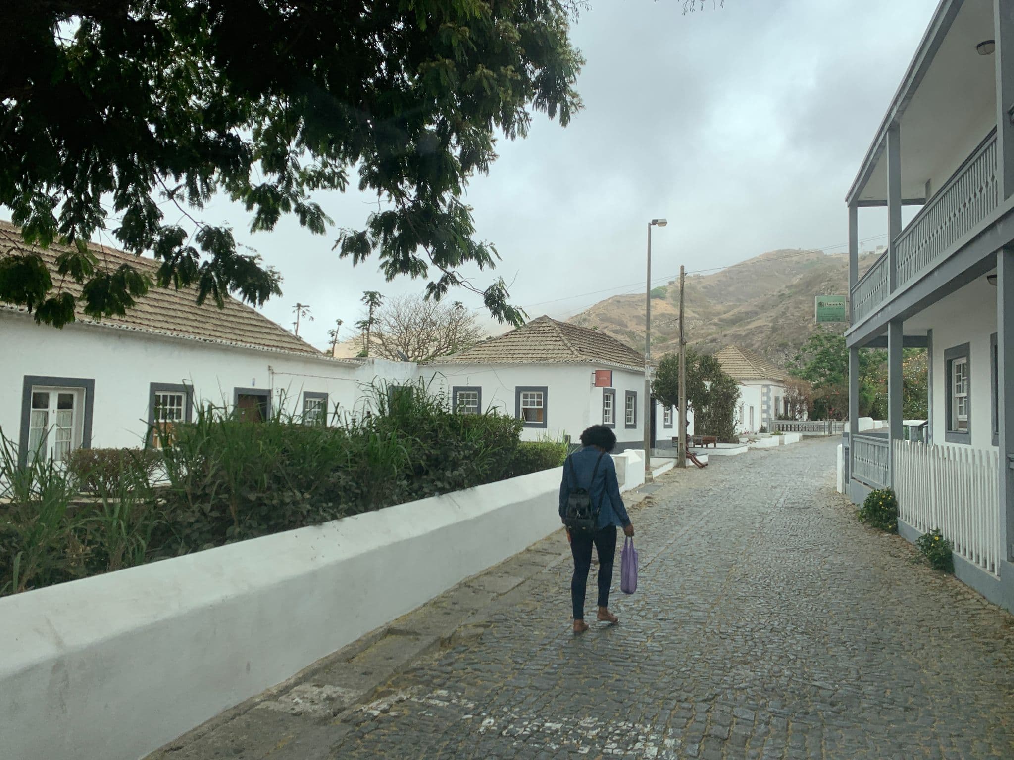 Street view near Vivi´s Place, Nova Sintra — © wbvv (CC BY-SA · Mapillary)