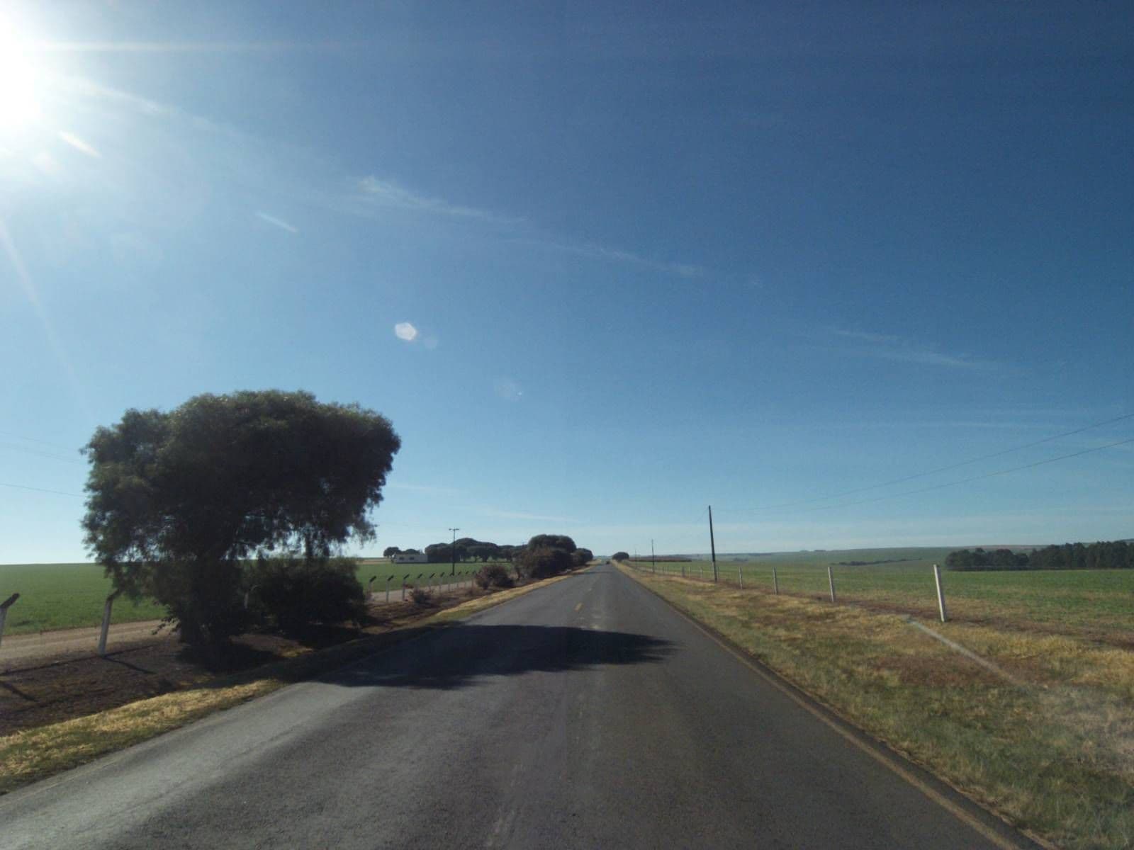 Street view near Pousada Fazenda Guartelá, Tibagi — © projevias (CC BY-SA · Mapillary)