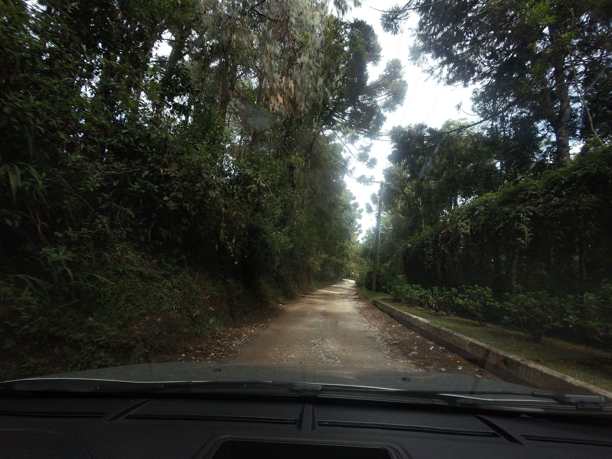 Street view near chalé 44 camélia, Campos do Jordão — © andersoal (CC BY-SA · Mapillary)
