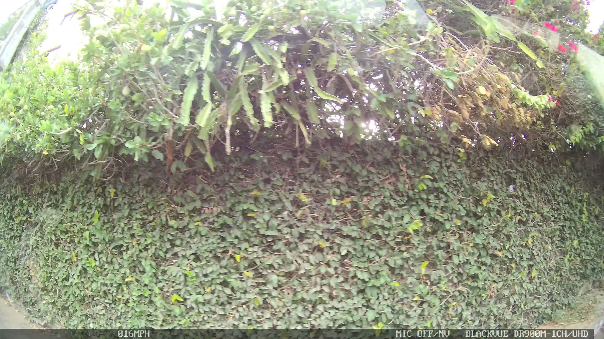 Street view near Casa Rosa, Parnamirim — © kaart_4 (CC BY-SA · Mapillary)